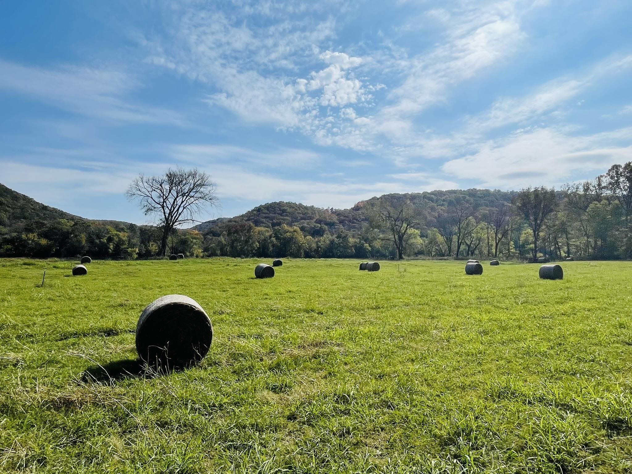 15 W School House Hollow Road  Melbourne, AR