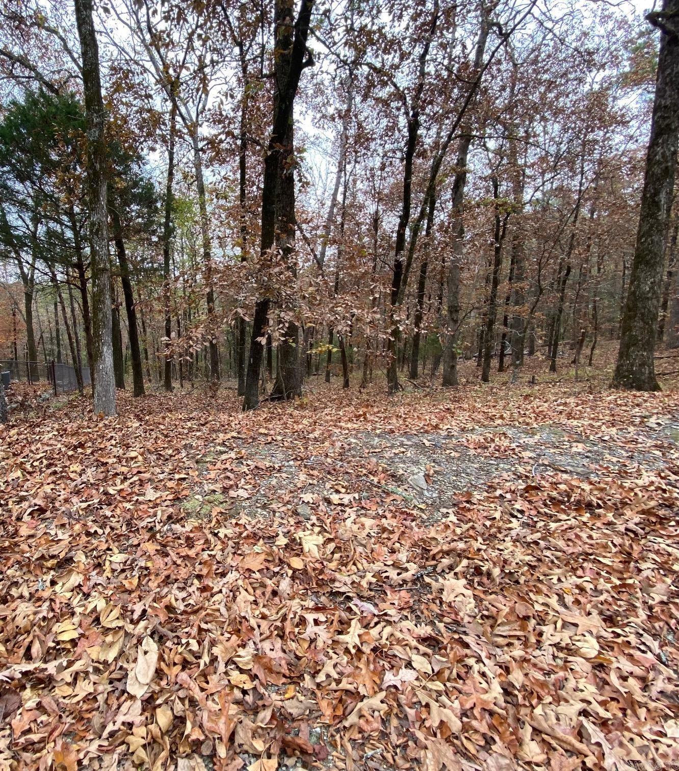 26  Estremedura  Hot Springs Village, AR