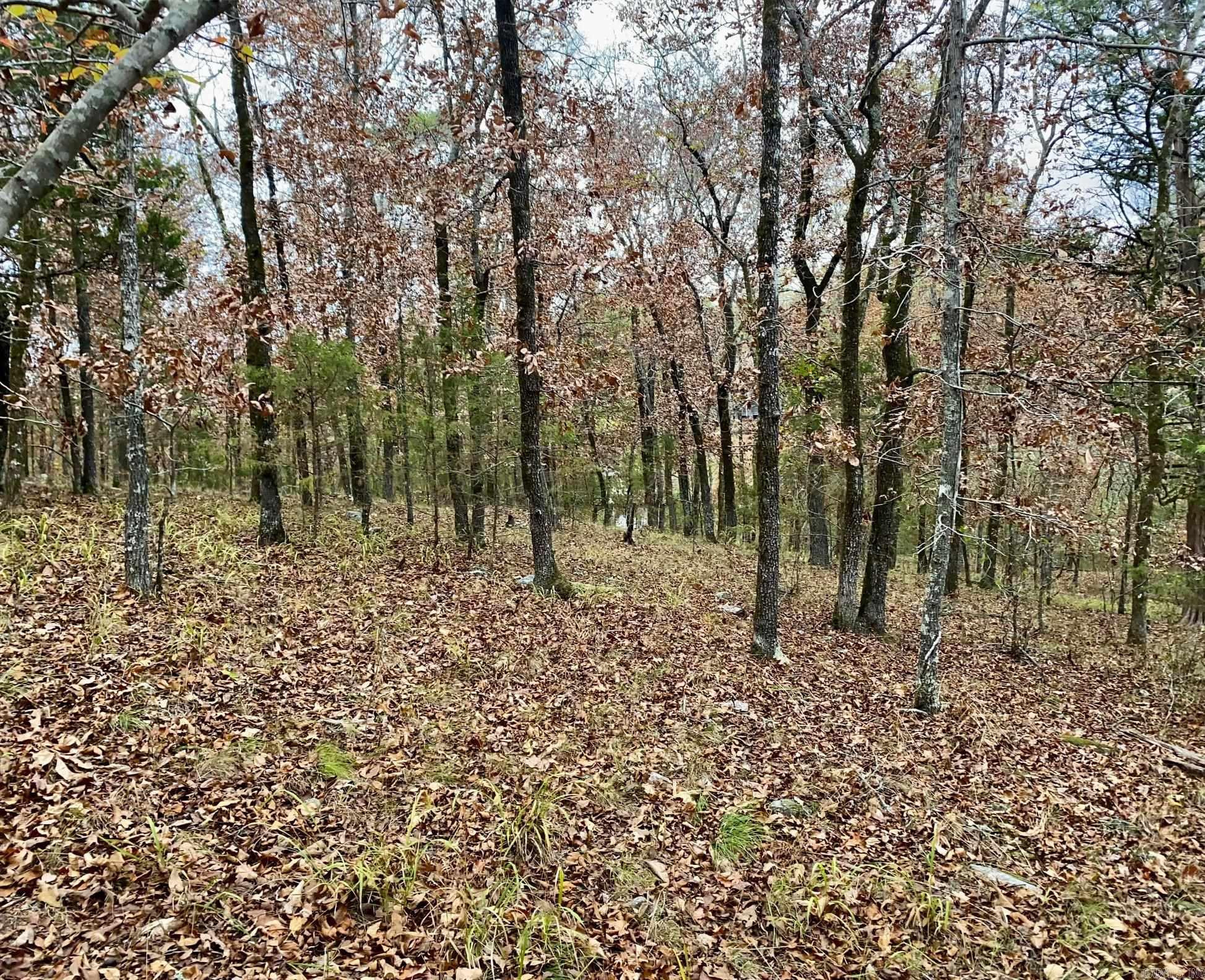 26  Estremedura  Hot Springs Village, AR