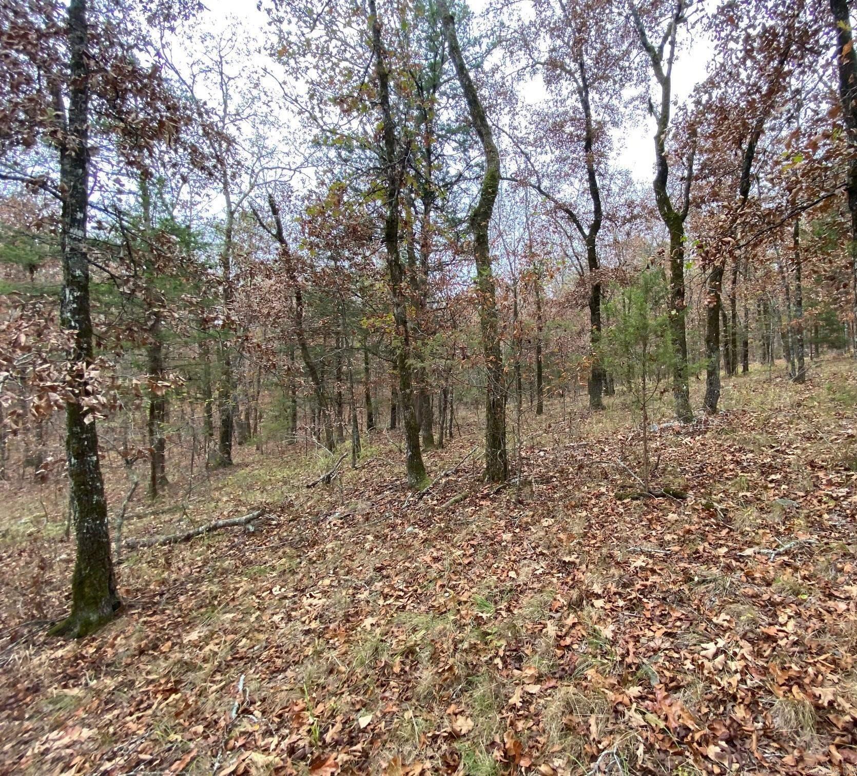 26  Estremedura  Hot Springs Village, AR