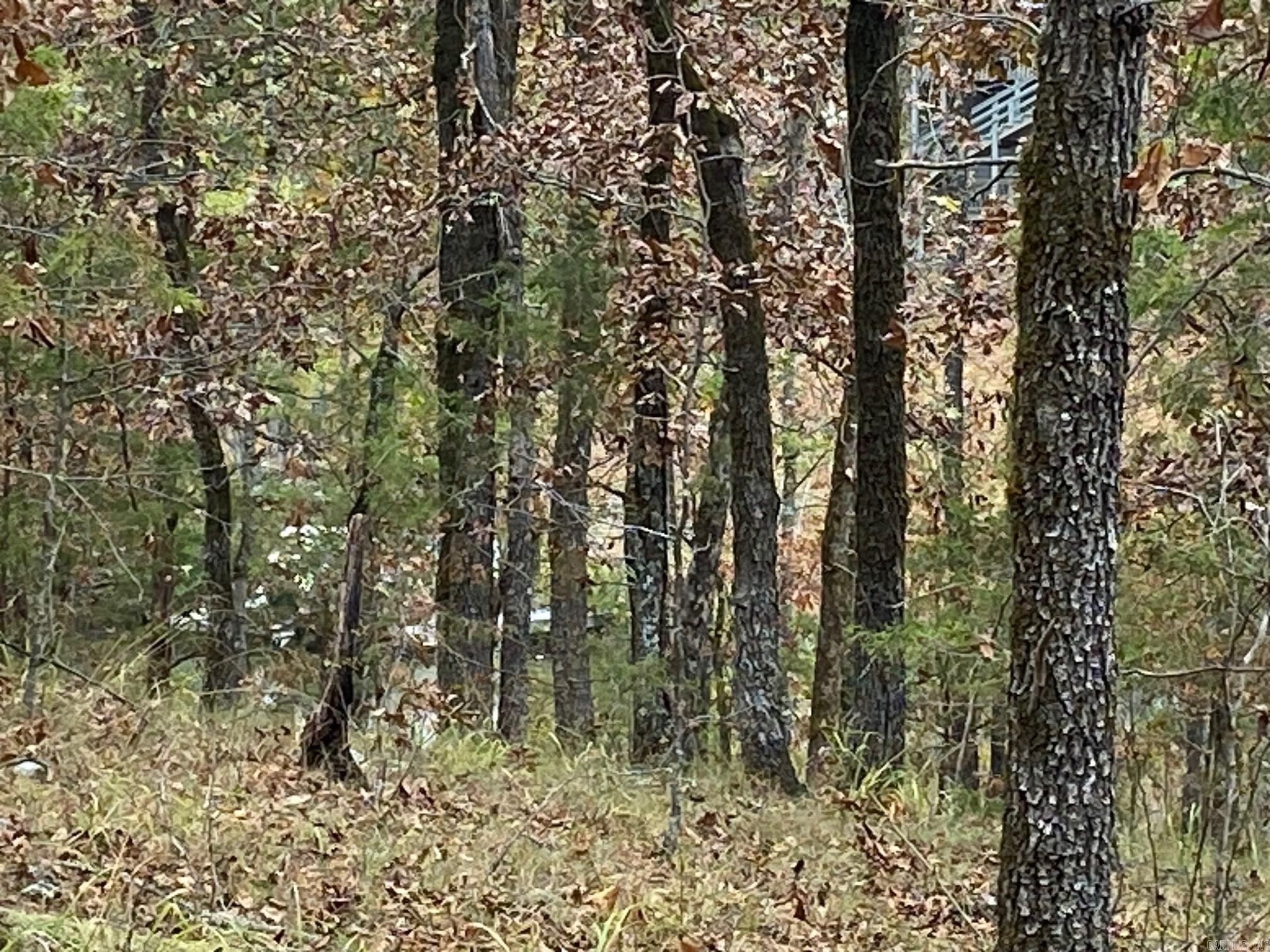 26  Estremedura  Hot Springs Village, AR