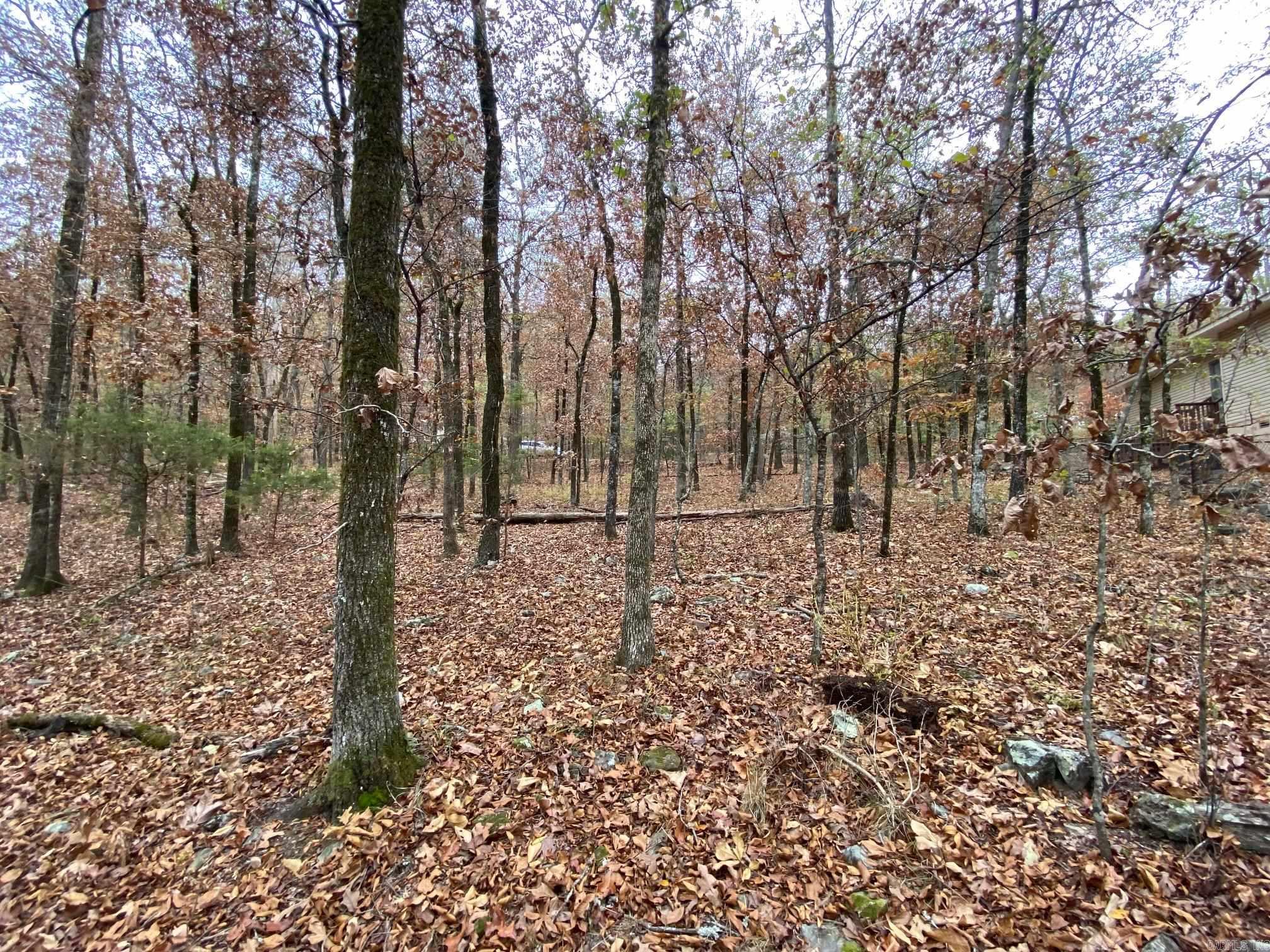 26  Estremedura  Hot Springs Village, AR