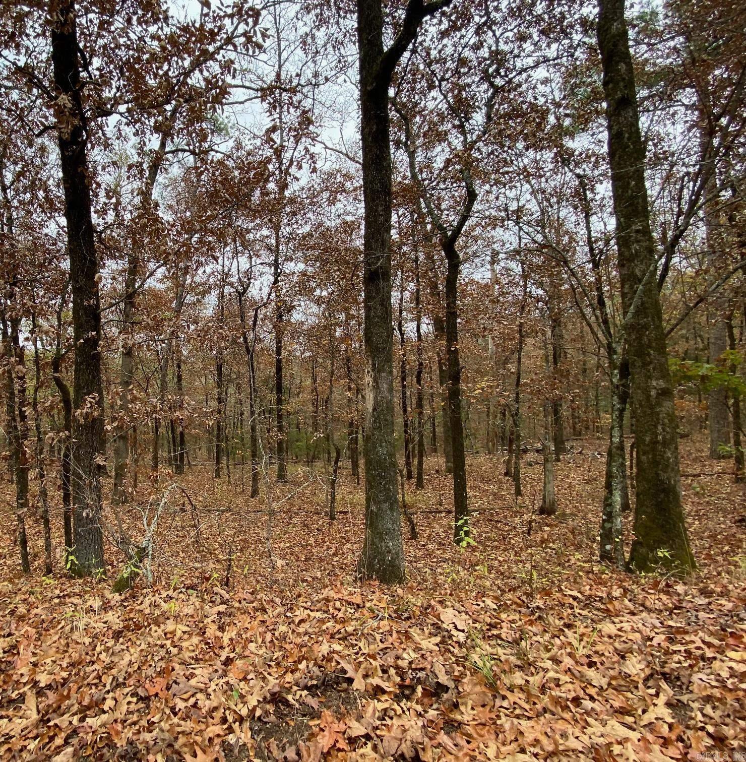 26  Estremedura  Hot Springs Village, AR