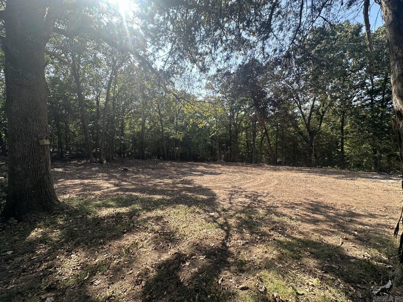 7  Asher Drive  Hardy, AR