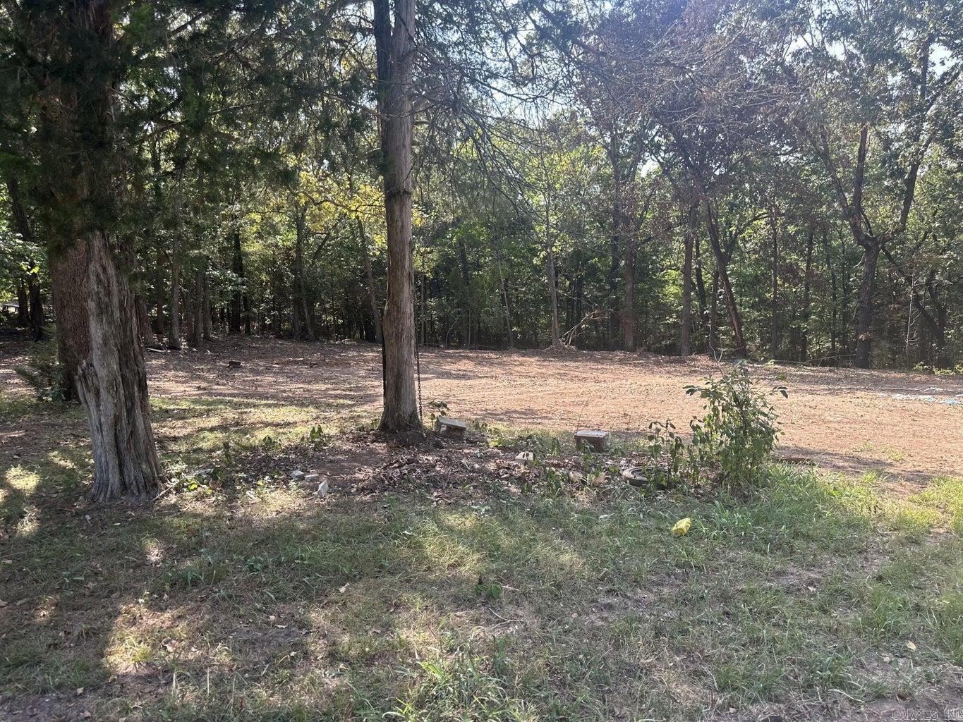 7  Asher Drive  Hardy, AR