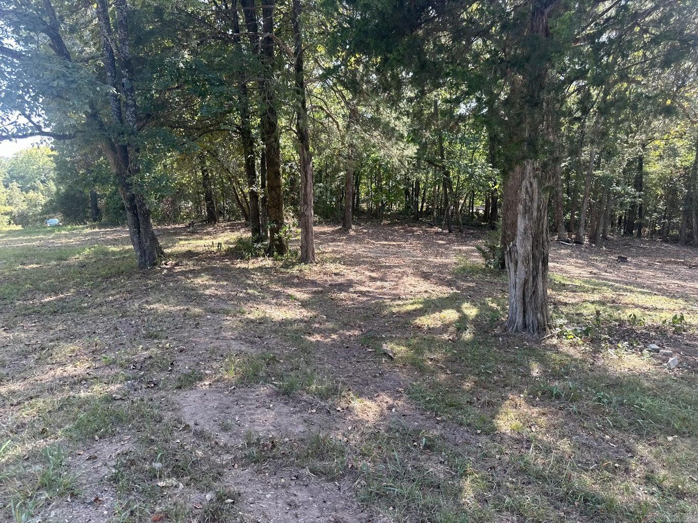7  Asher Drive  Hardy, AR