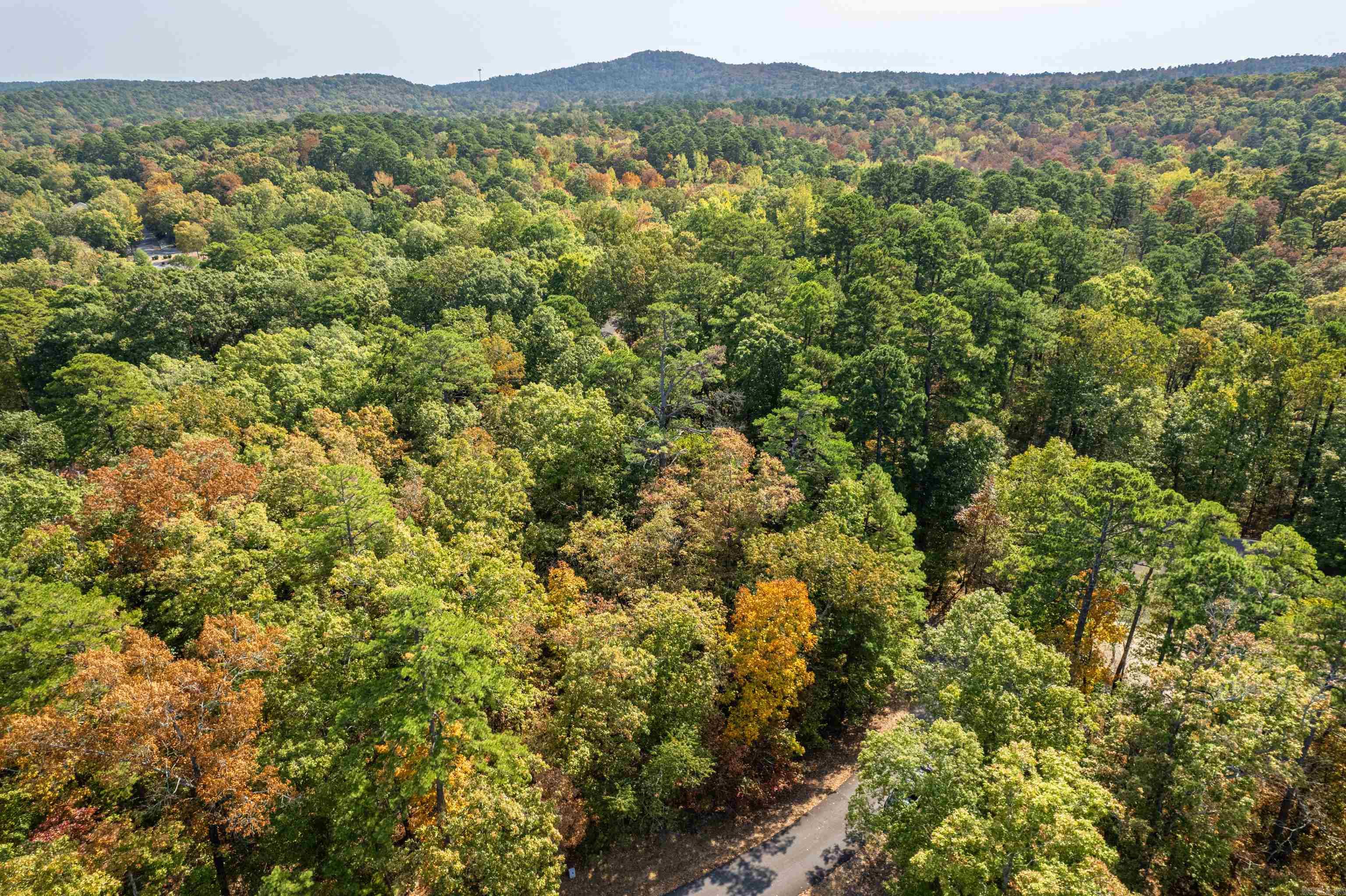 1  Sabiote  Hot Springs Village, AR