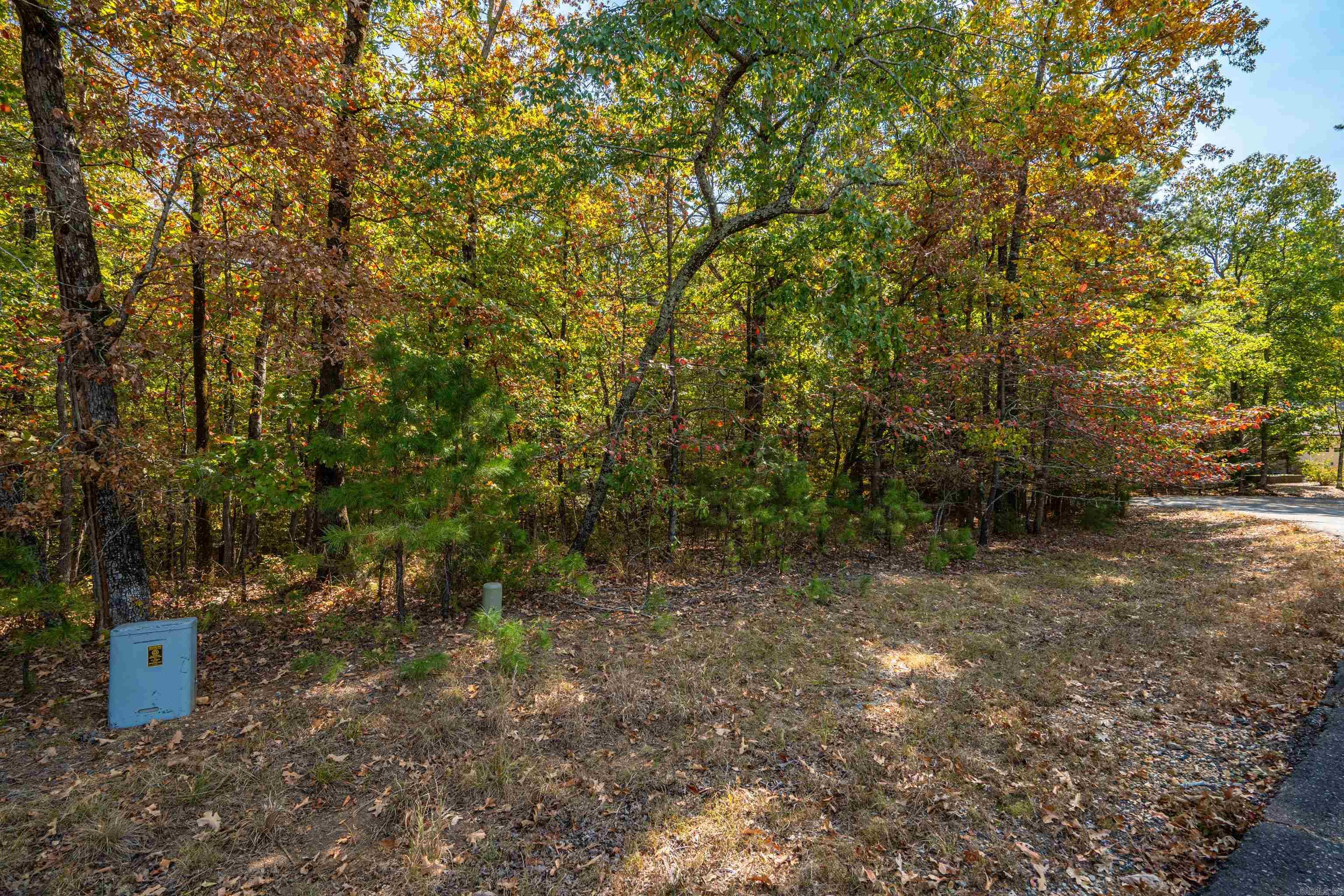 1  Sabiote  Hot Springs Village, AR