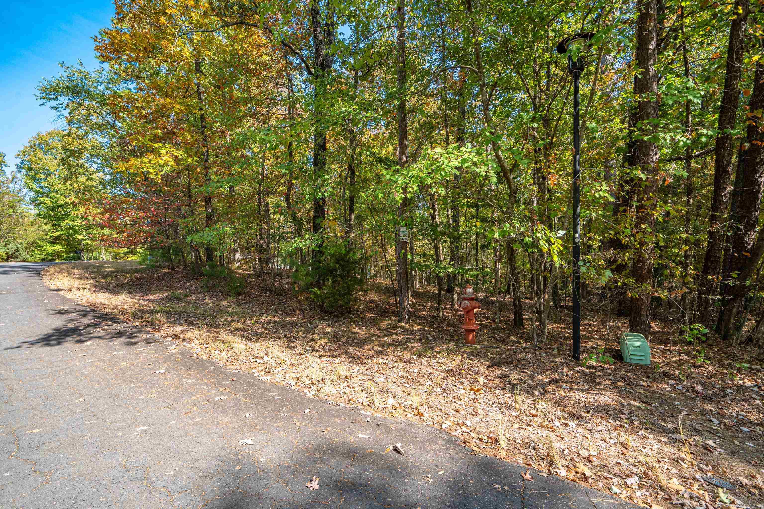 1  Sabiote  Hot Springs Village, AR