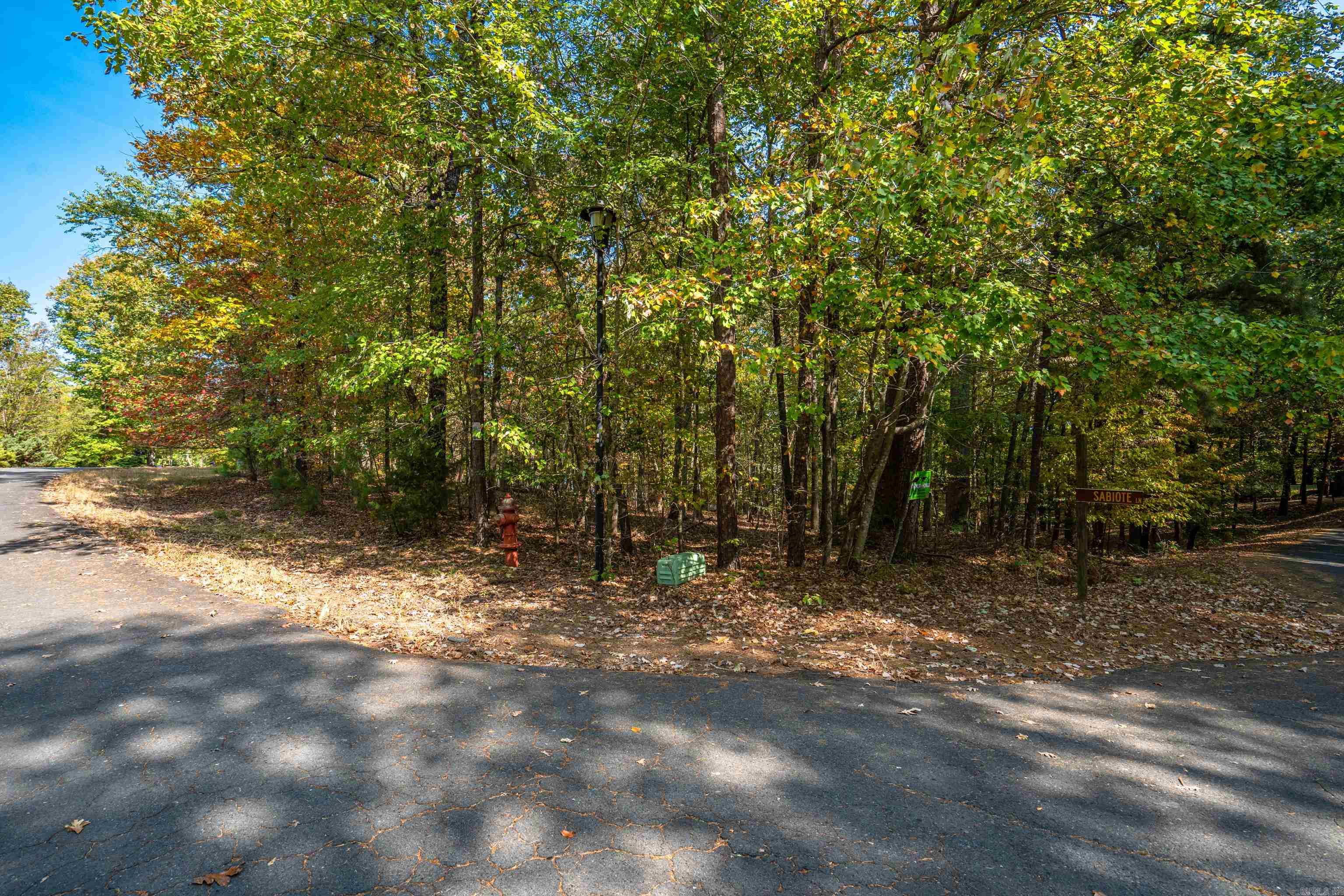 1  Sabiote  Hot Springs Village, AR