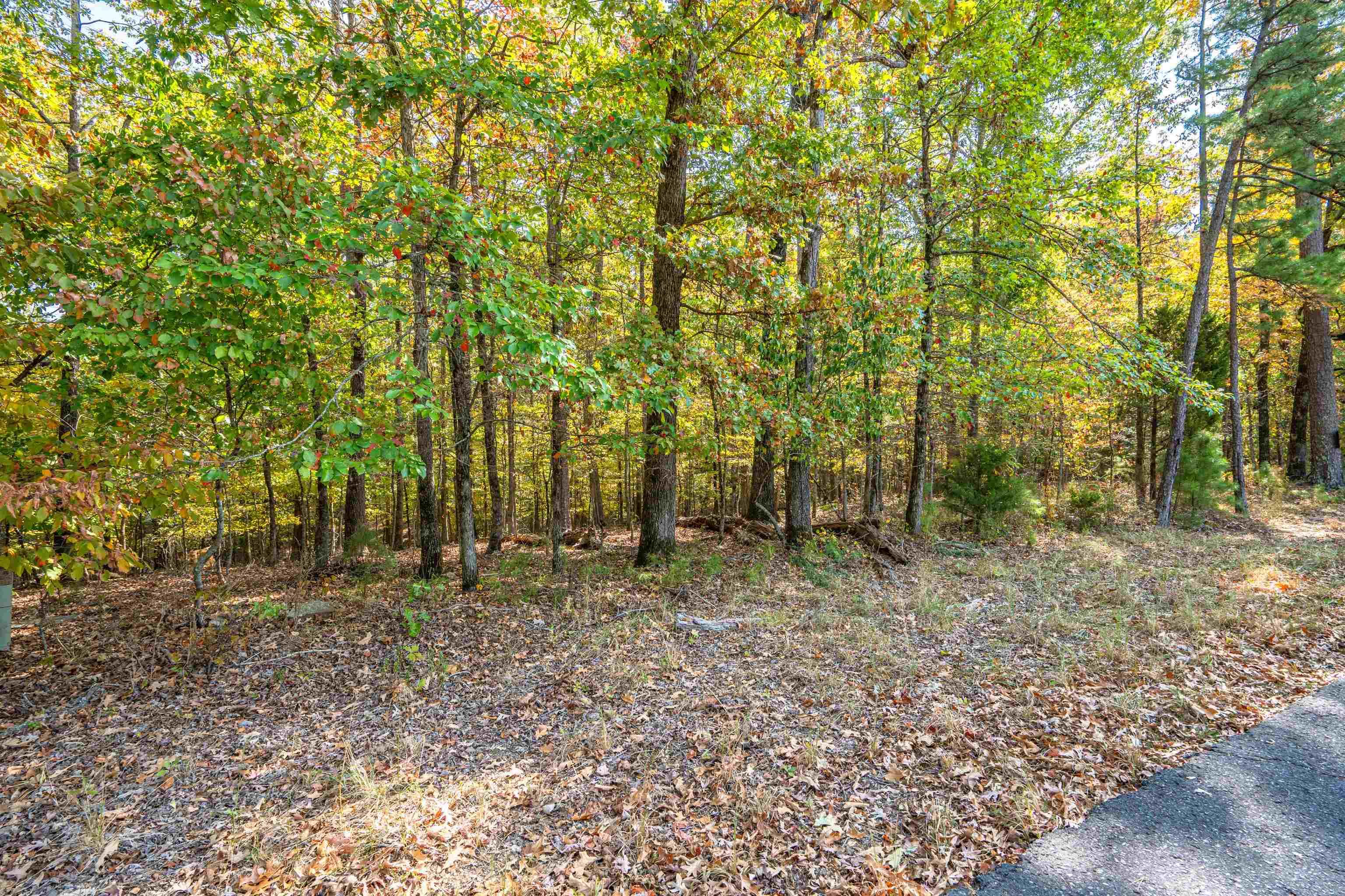 3  Sabiote  Hot Springs Village, AR