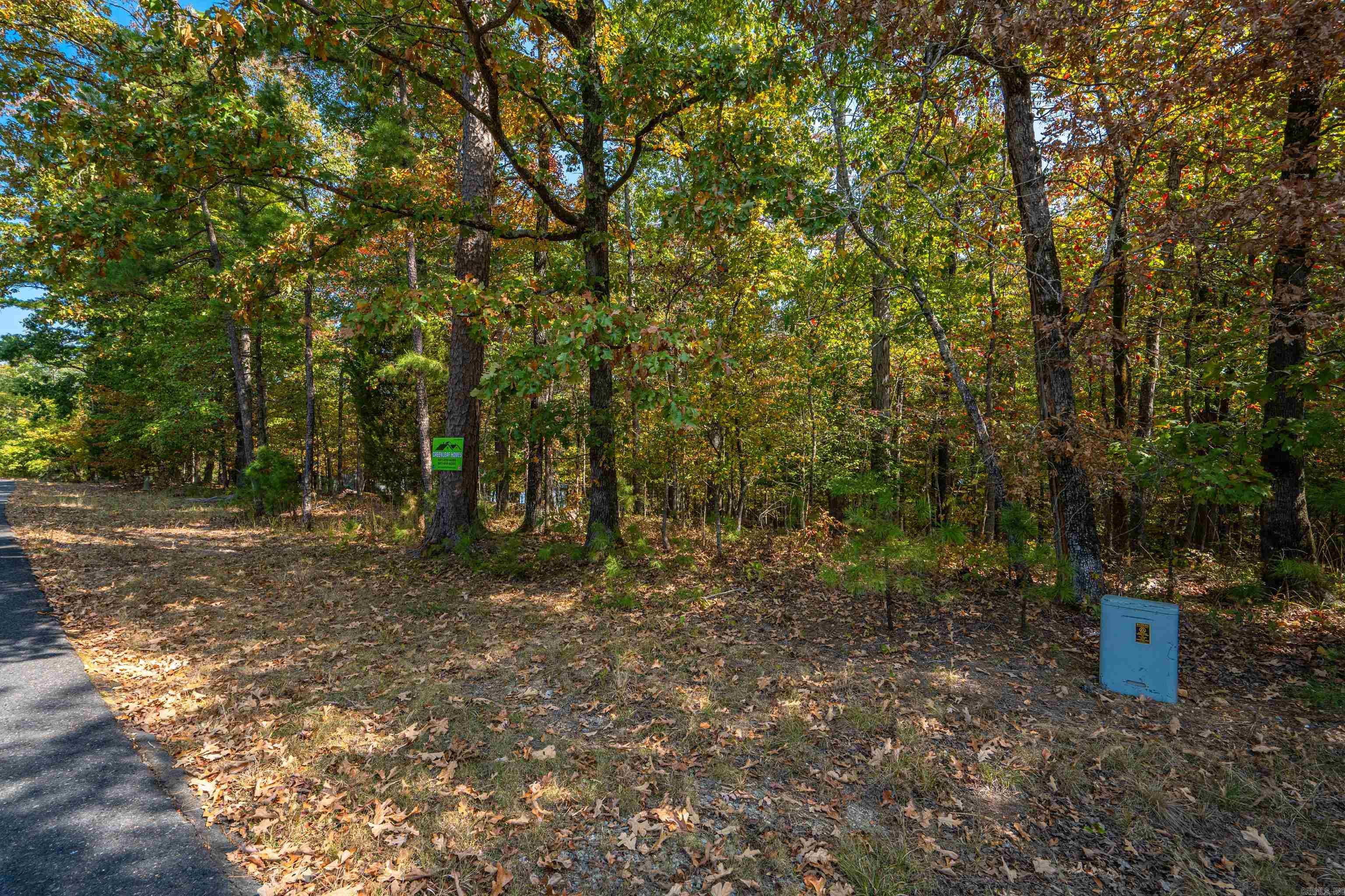 3  Sabiote  Hot Springs Village, AR