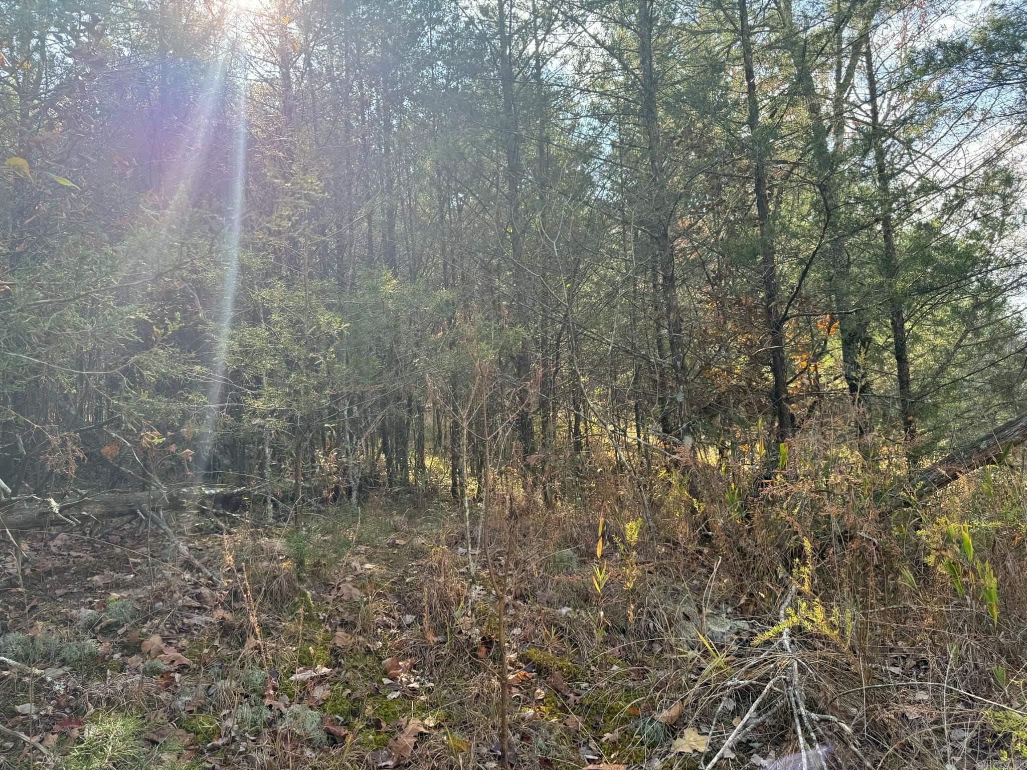 193  Polk Road 147  Mena, AR