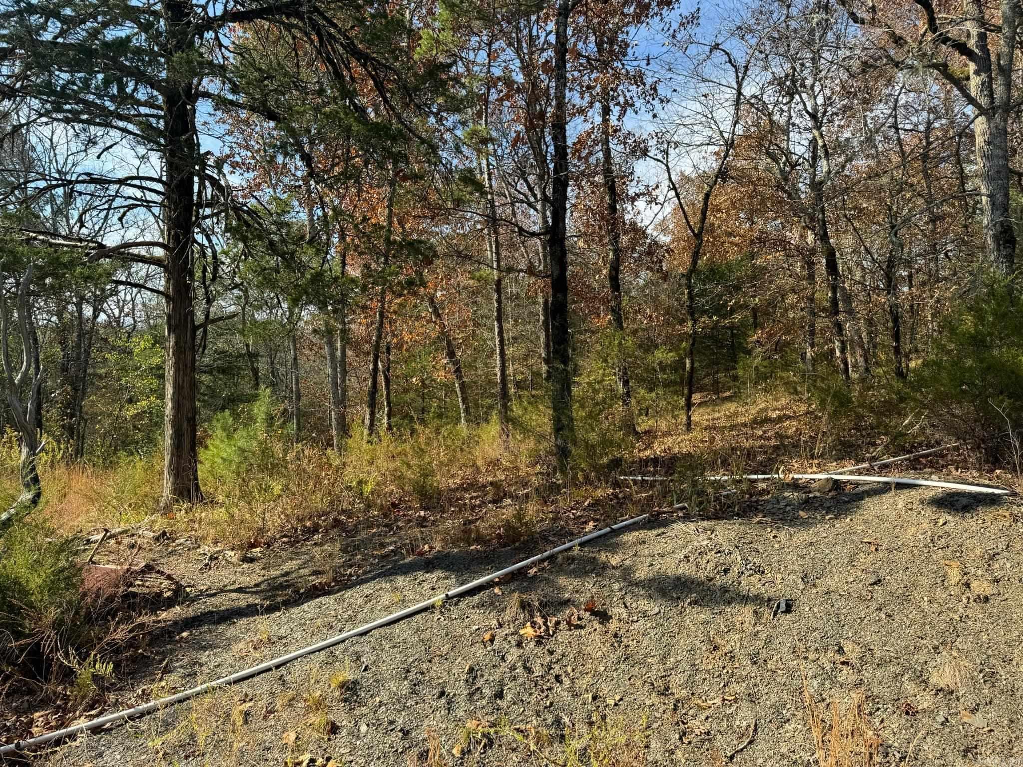 193  Polk Road 147  Mena, AR