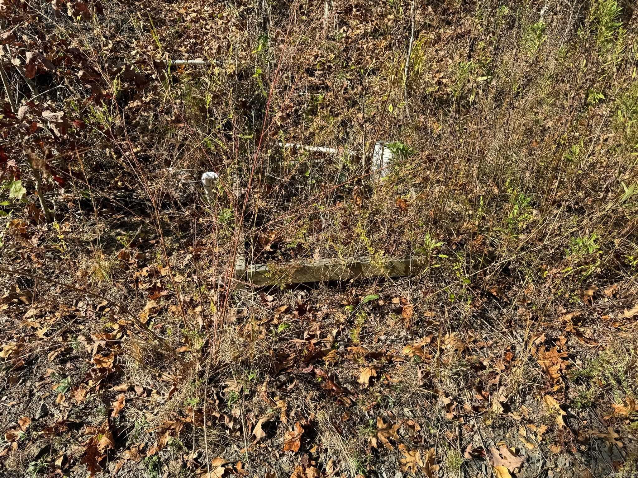 193  Polk Road 147  Mena, AR