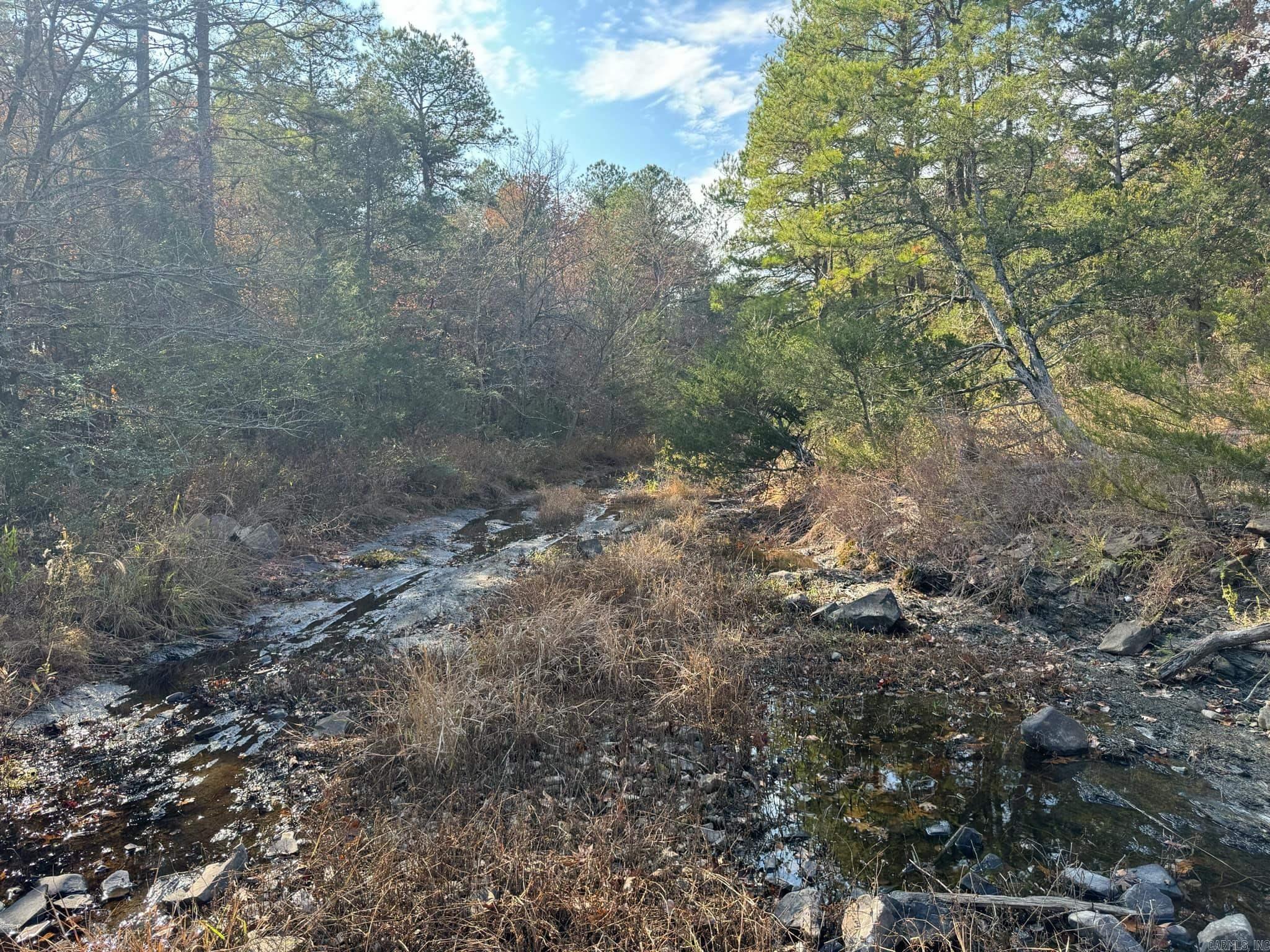 193  Polk Road 147  Mena, AR