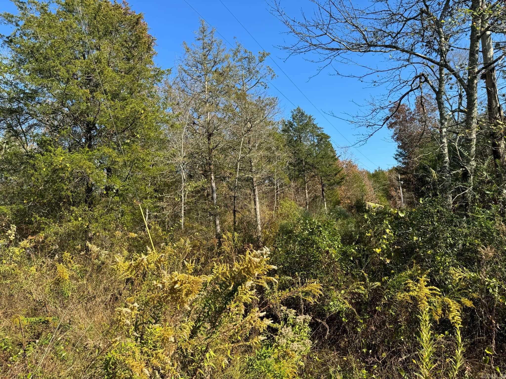 193  Polk Road 147  Mena, AR
