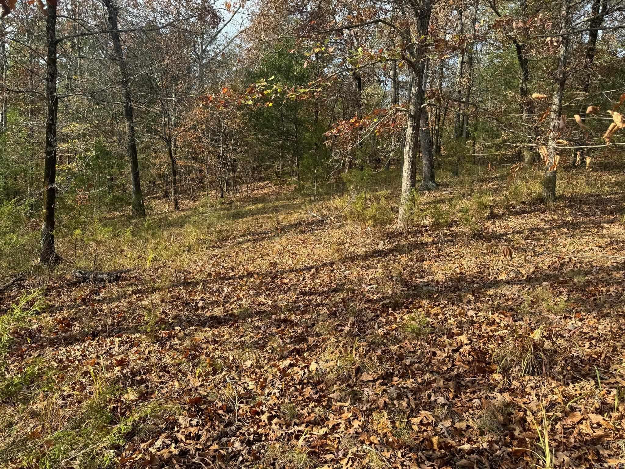 193  Polk Road 147  Mena, AR