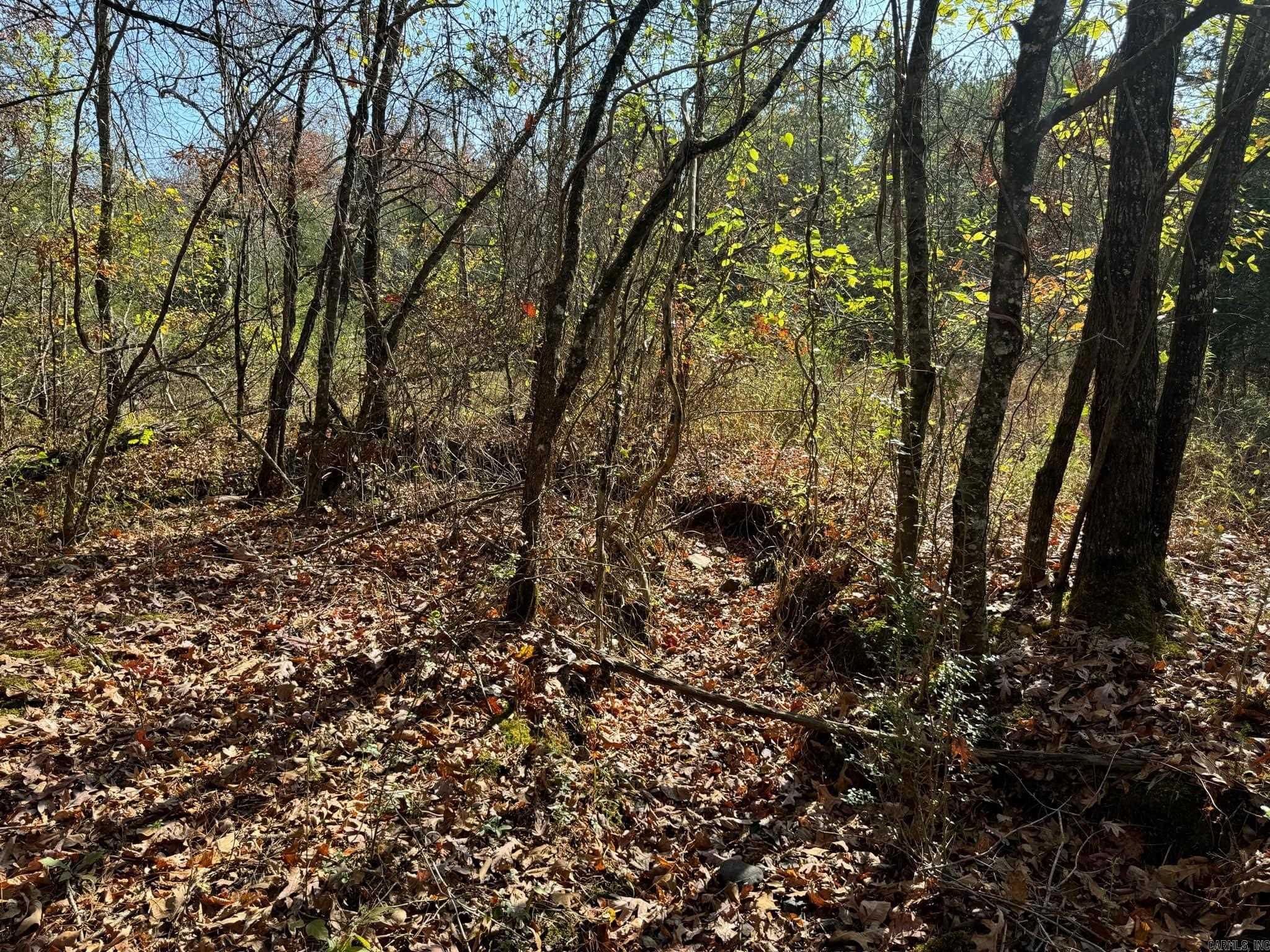 193  Polk Road 147  Mena, AR