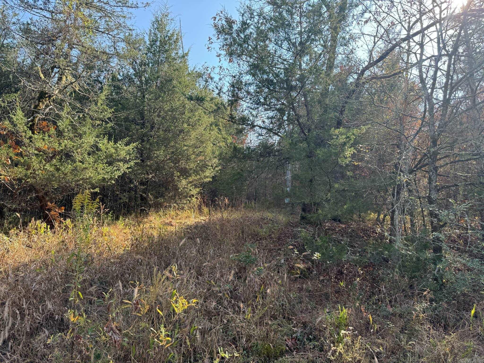 193  Polk Road 147  Mena, AR