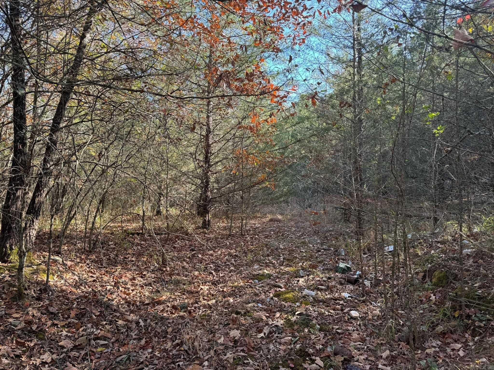 193  Polk Road 147  Mena, AR