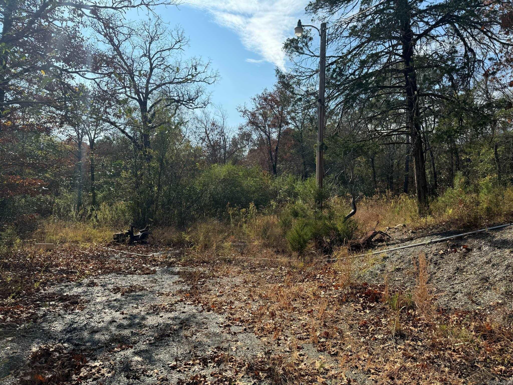 193  Polk Road 147  Mena, AR