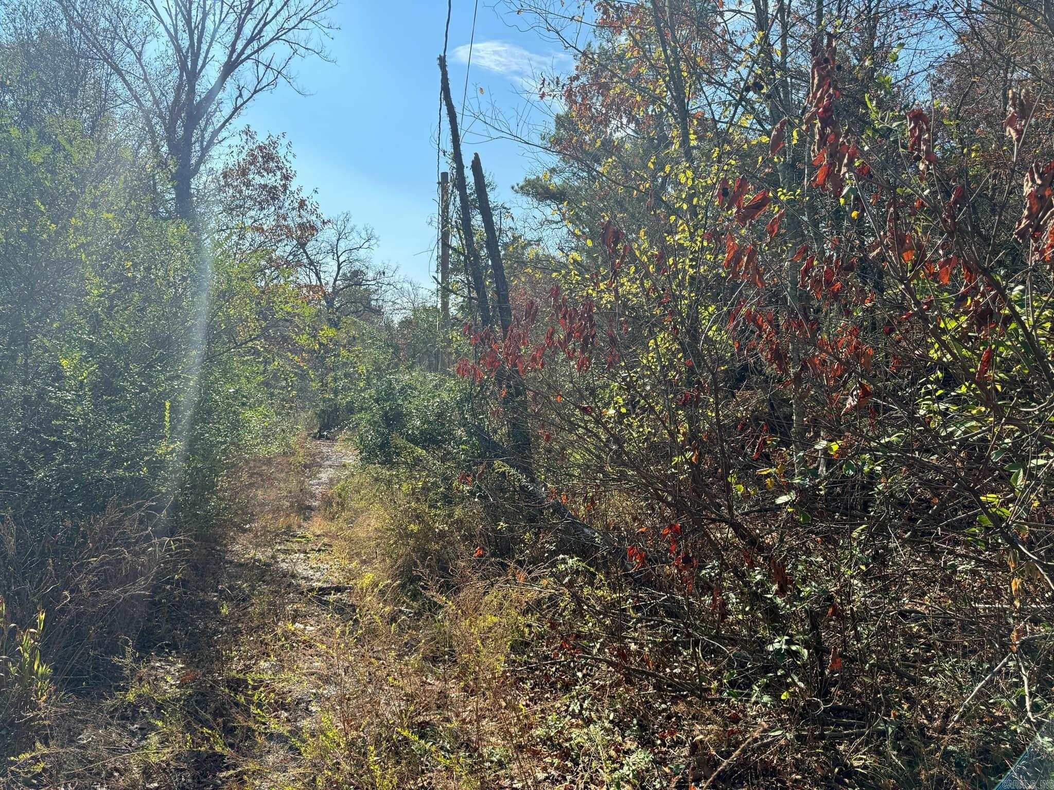 193  Polk Road 147  Mena, AR