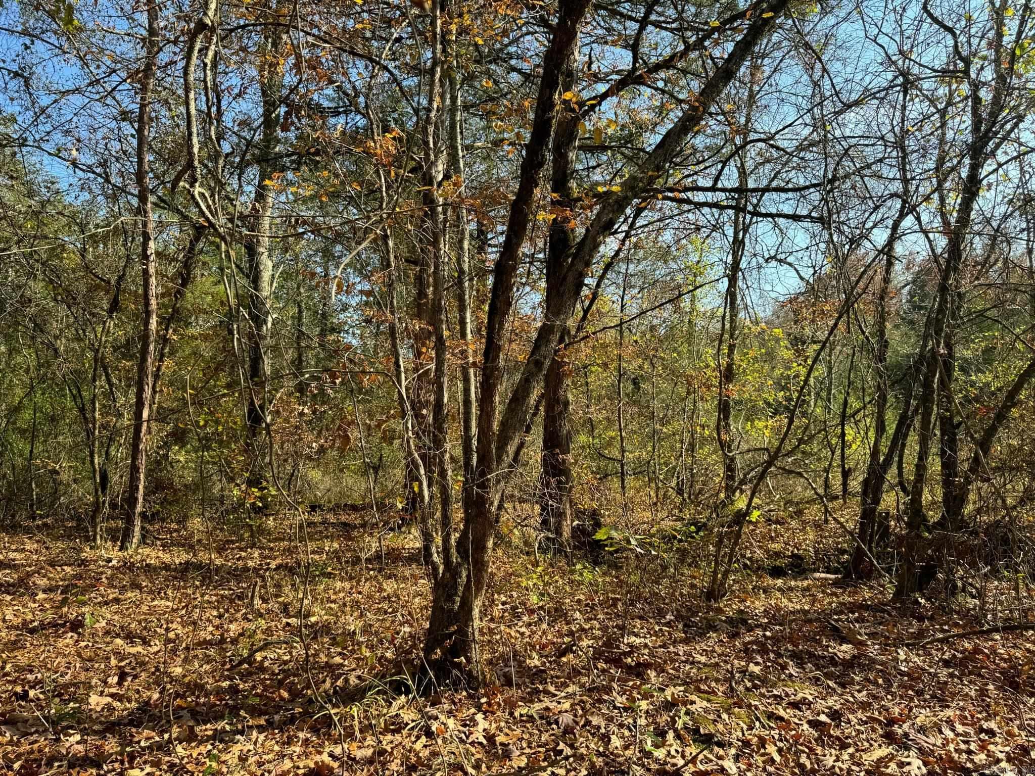193  Polk Road 147  Mena, AR