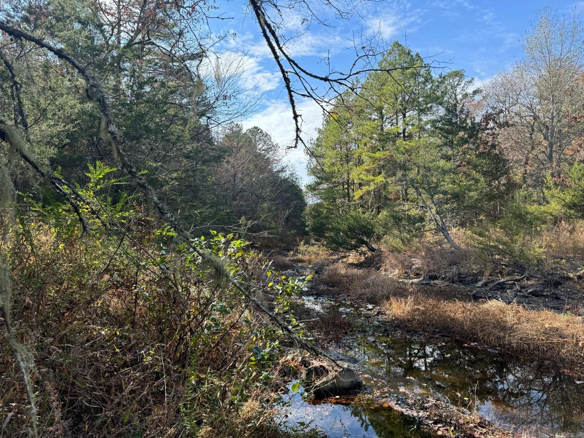 193  Polk Road 147  Mena, AR