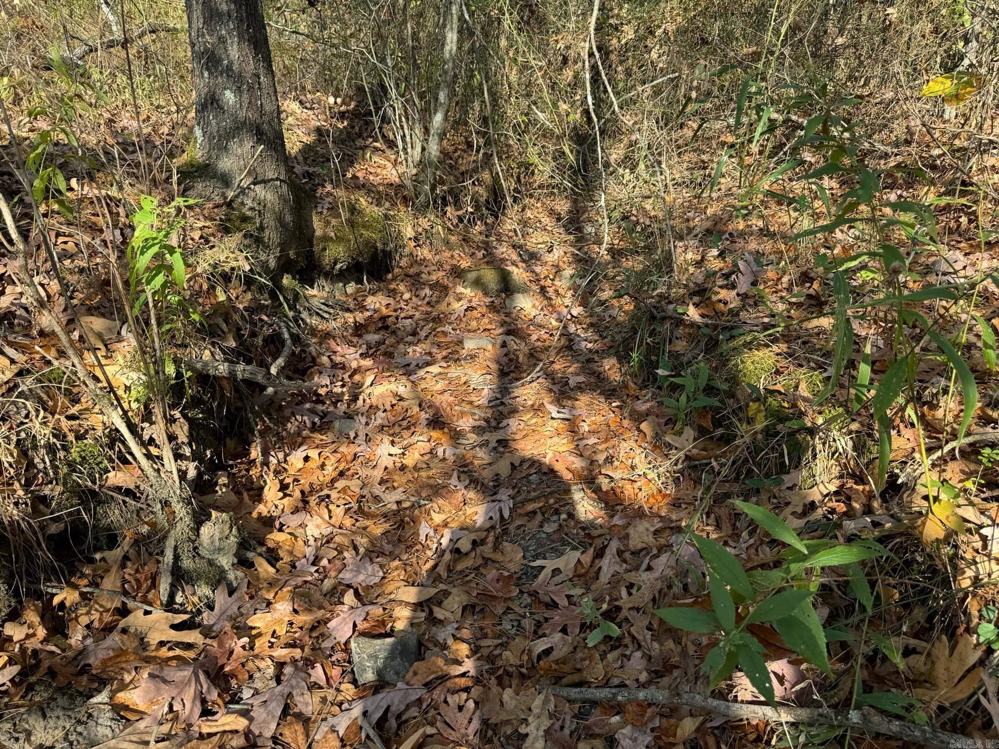 193  Polk Road 147  Mena, AR