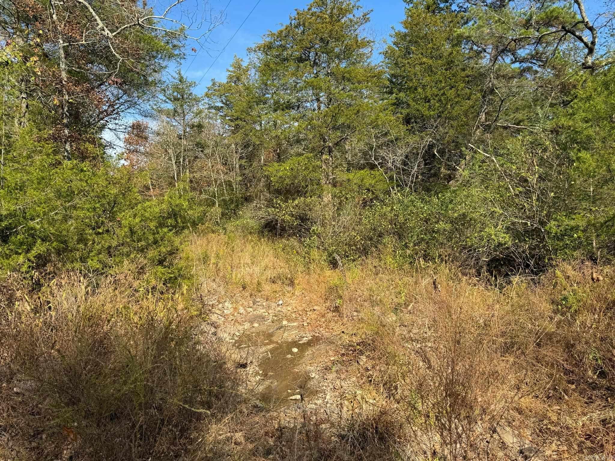 193  Polk Road 147  Mena, AR