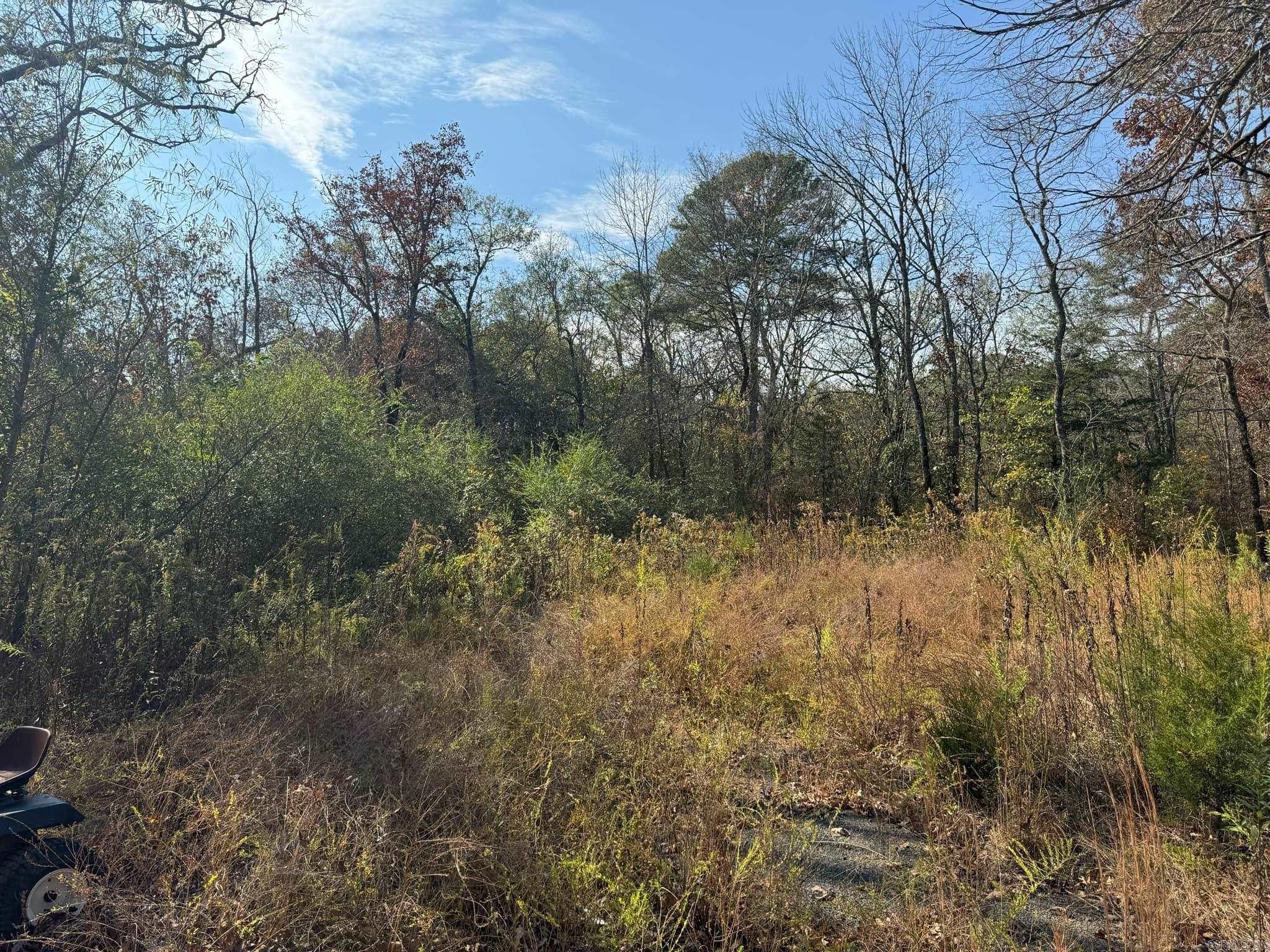 193  Polk Road 147  Mena, AR