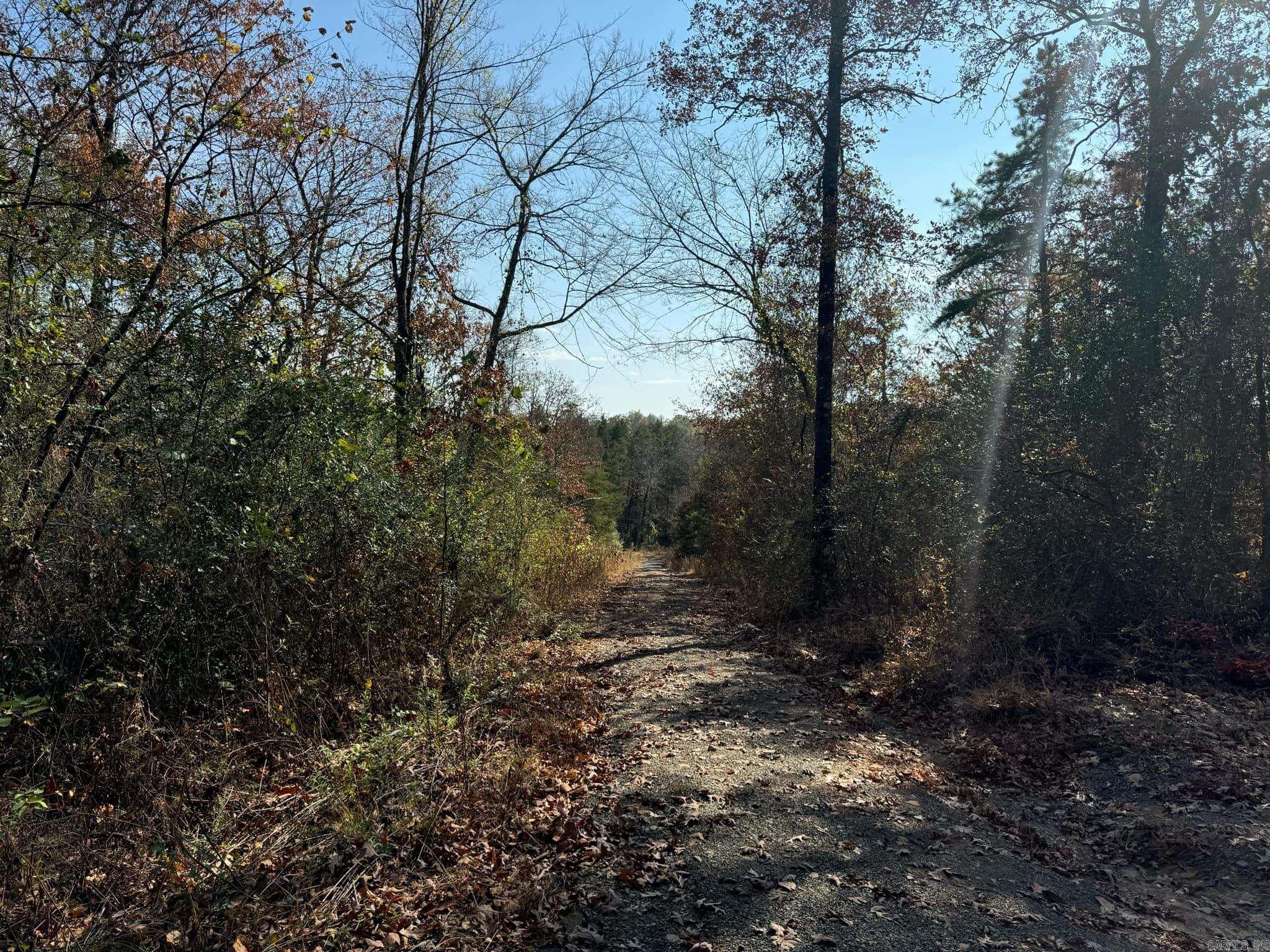 193  Polk Road 147  Mena, AR