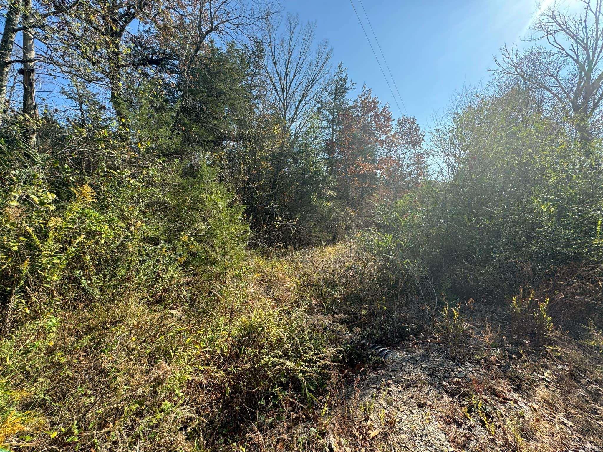 193  Polk Road 147  Mena, AR