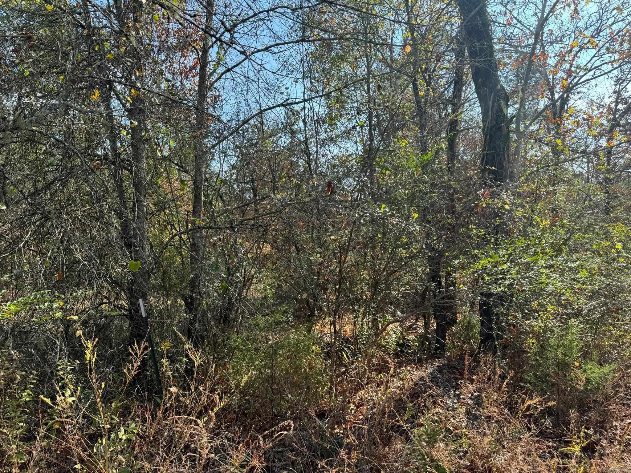 193  Polk Road 147  Mena, AR