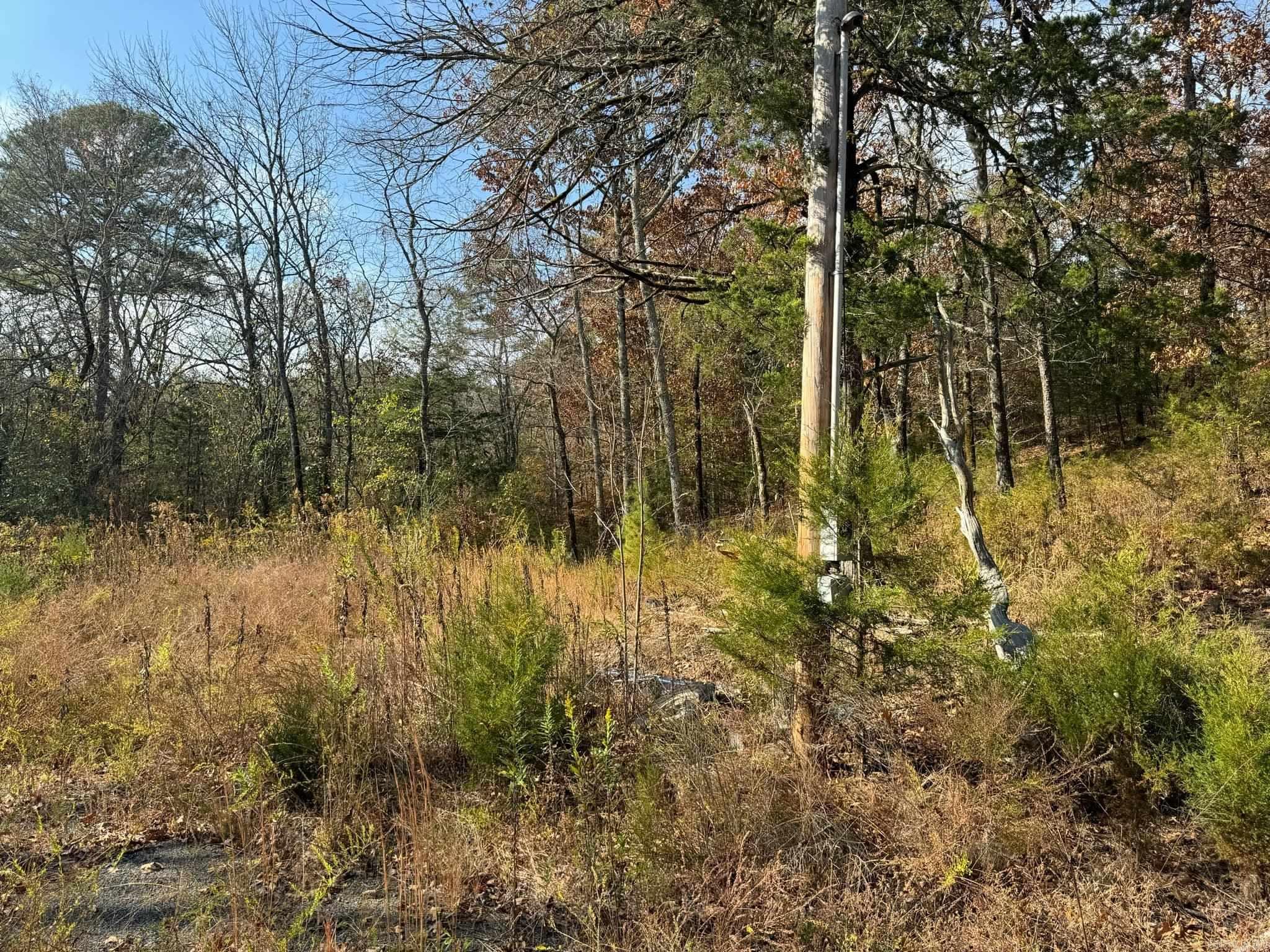 193  Polk Road 147  Mena, AR