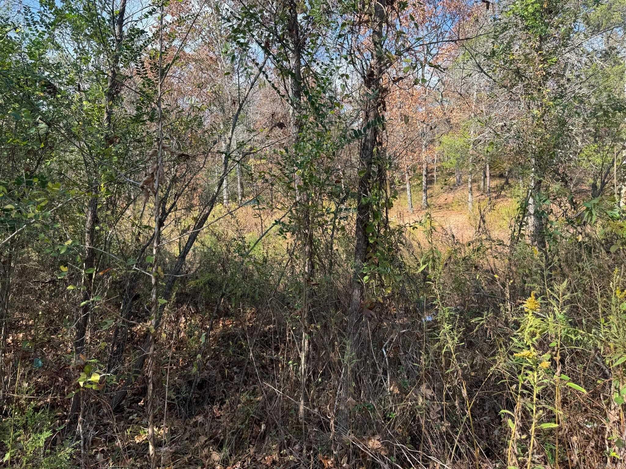 193  Polk Road 147  Mena, AR