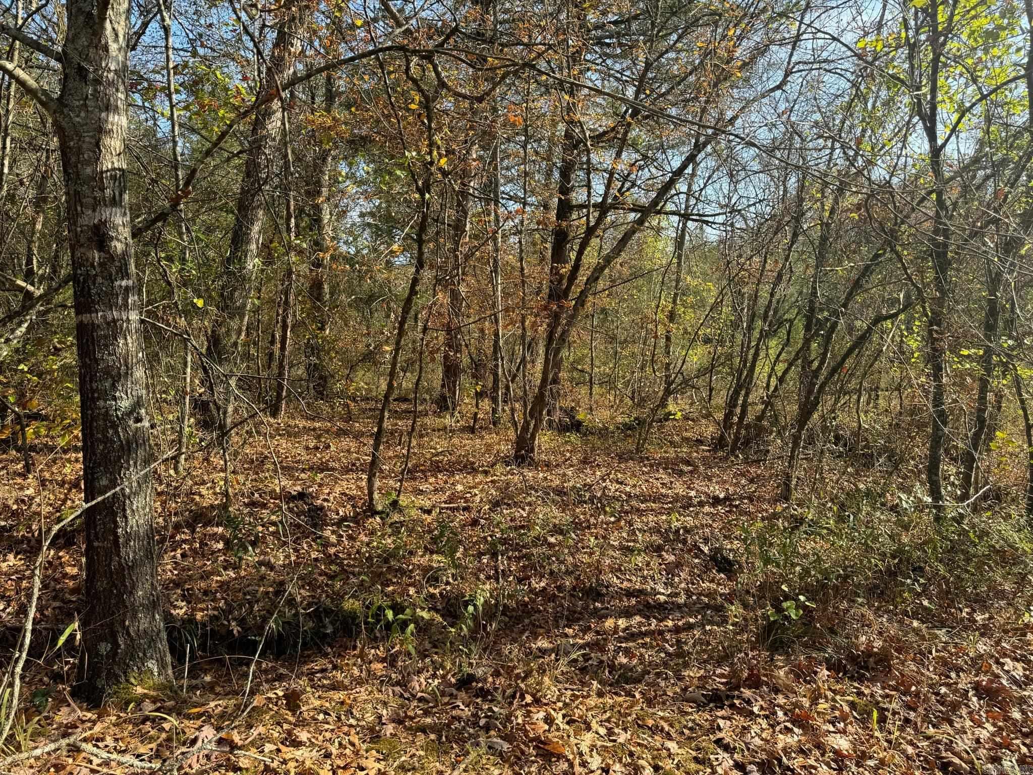 193  Polk Road 147  Mena, AR