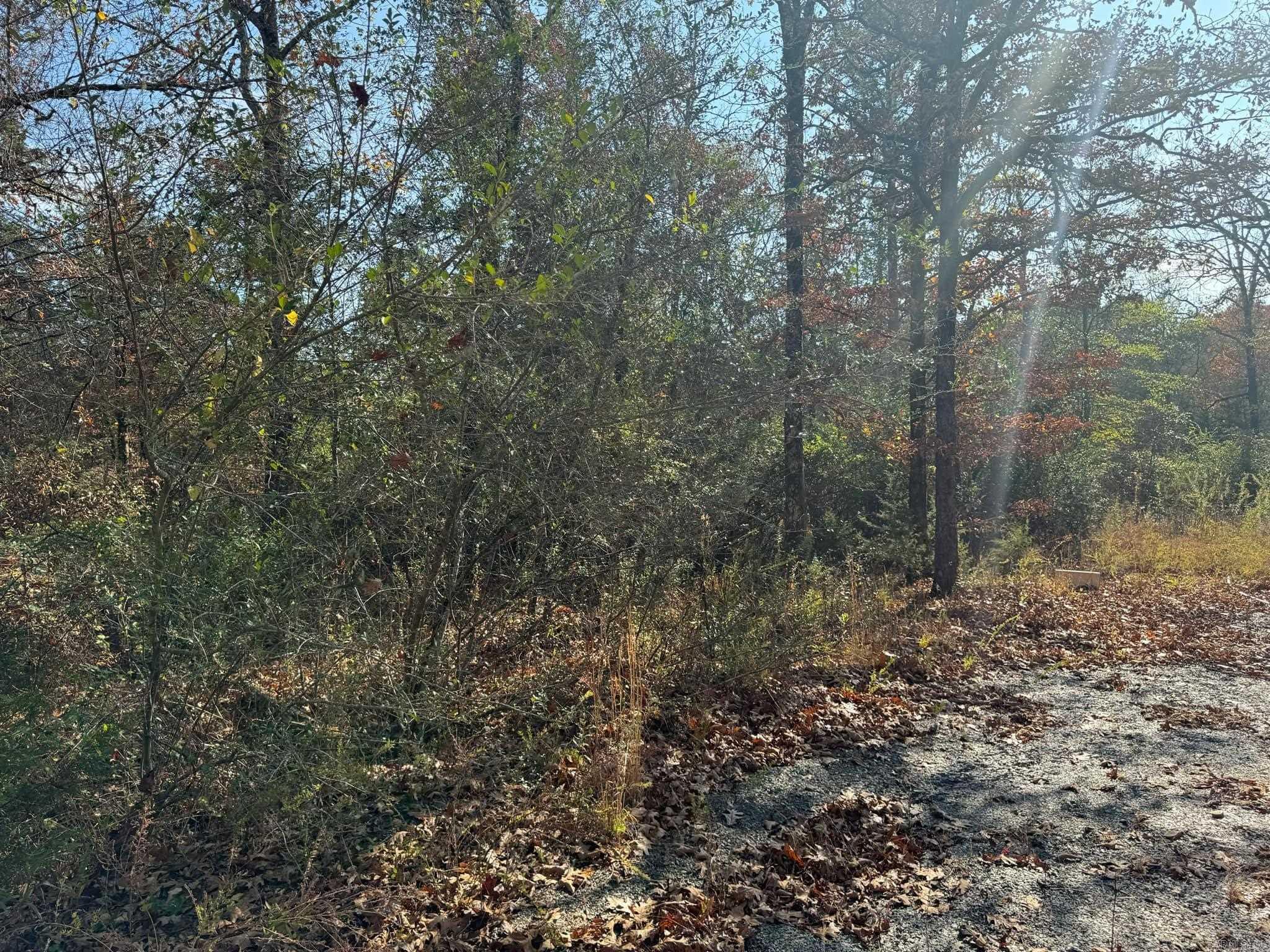 193  Polk Road 147  Mena, AR