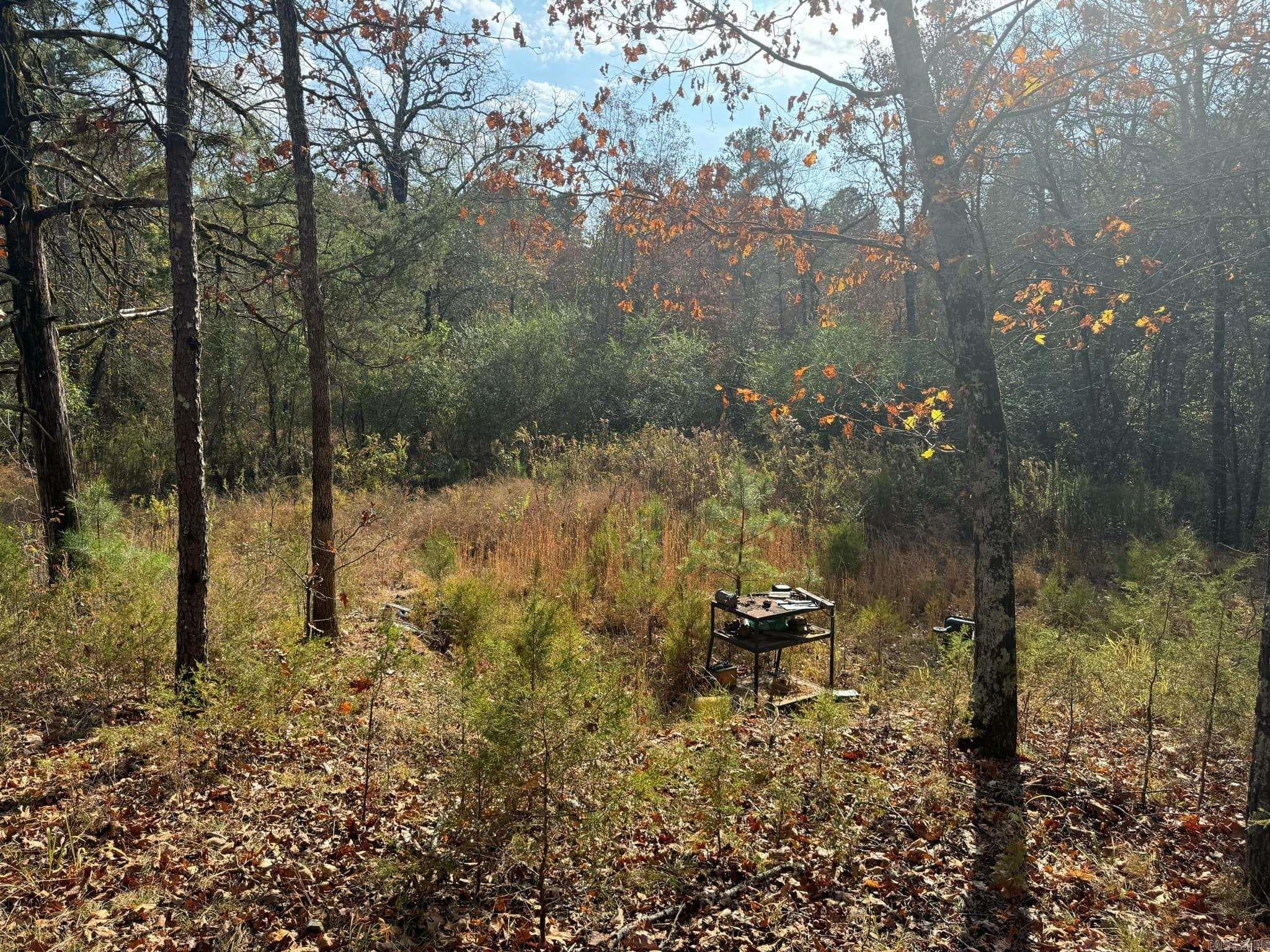 193  Polk Road 147  Mena, AR