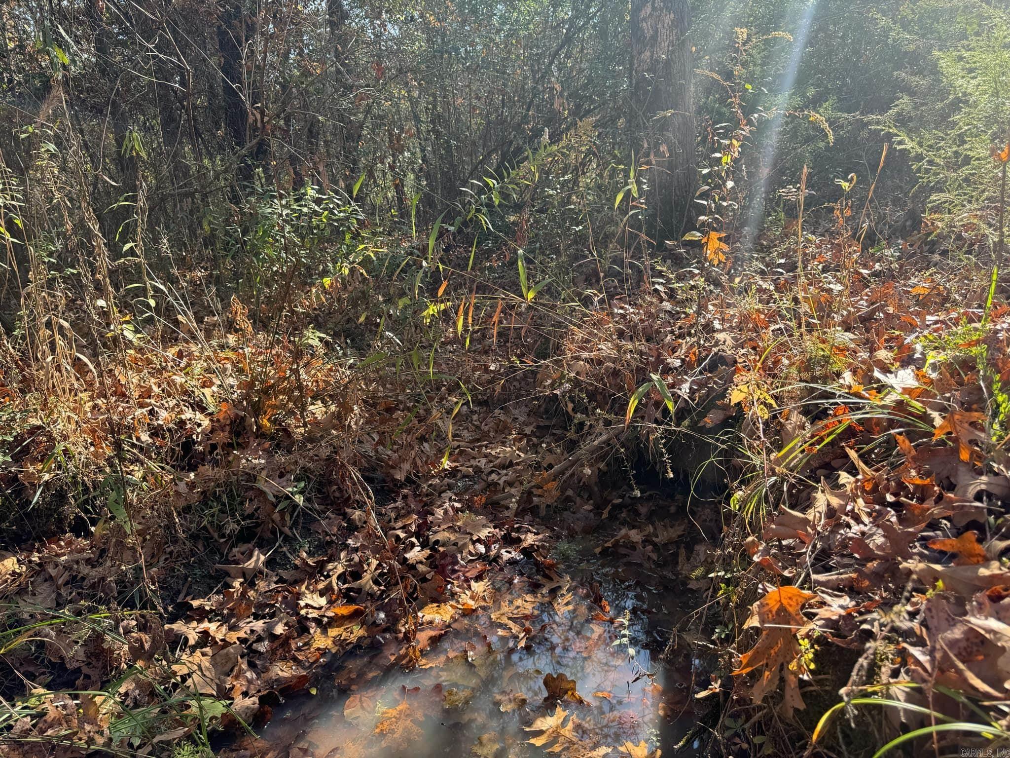 193  Polk Road 147  Mena, AR