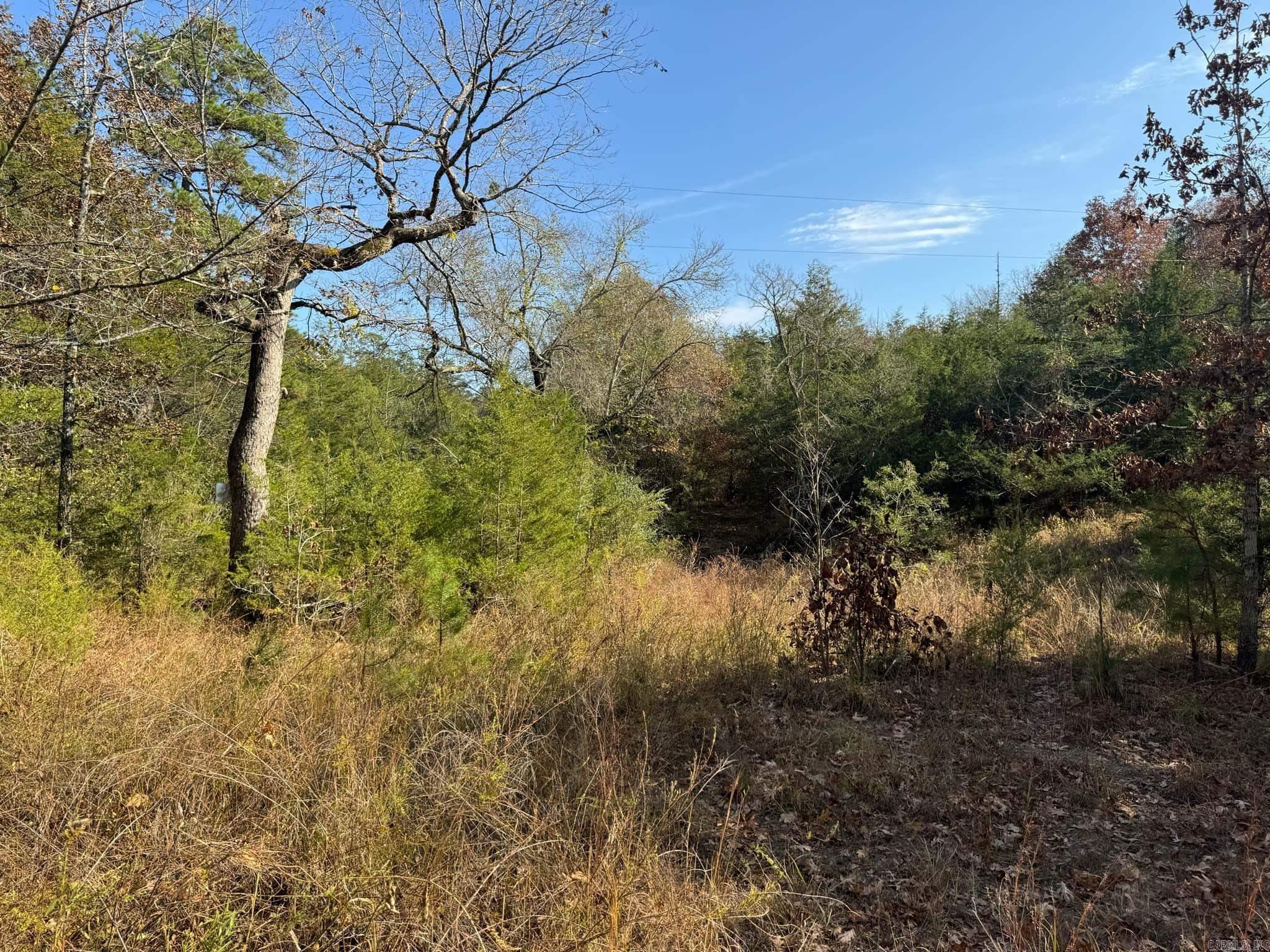 193  Polk Road 147  Mena, AR