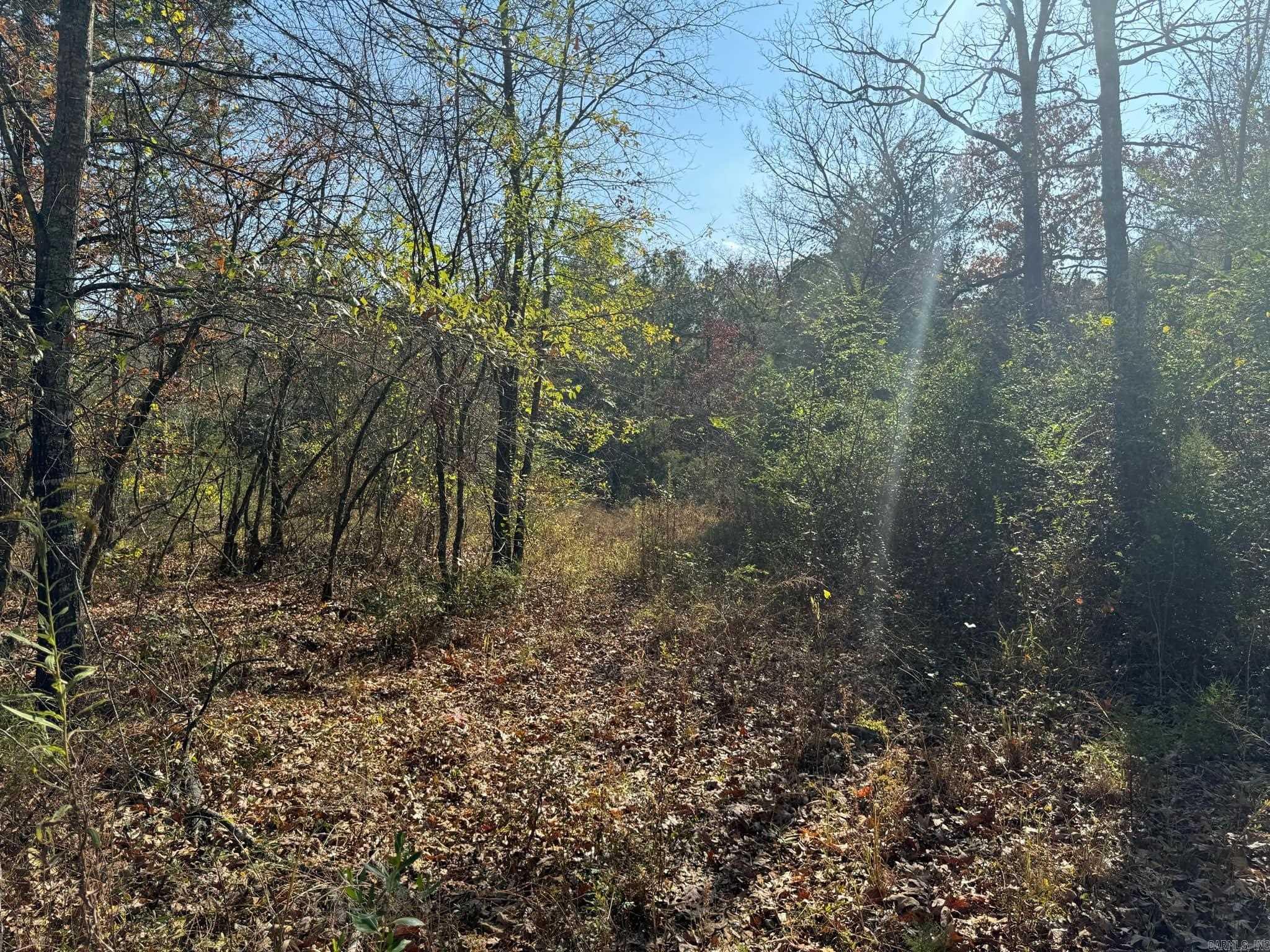 193  Polk Road 147  Mena, AR