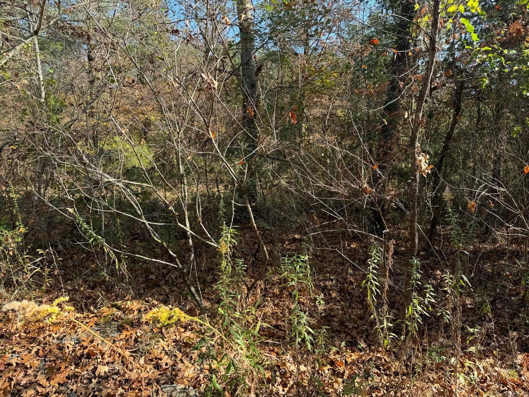193  Polk Road 147  Mena, AR