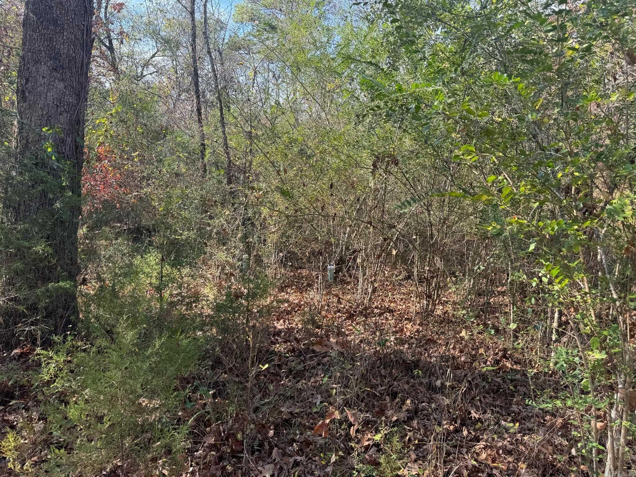 193  Polk Road 147  Mena, AR