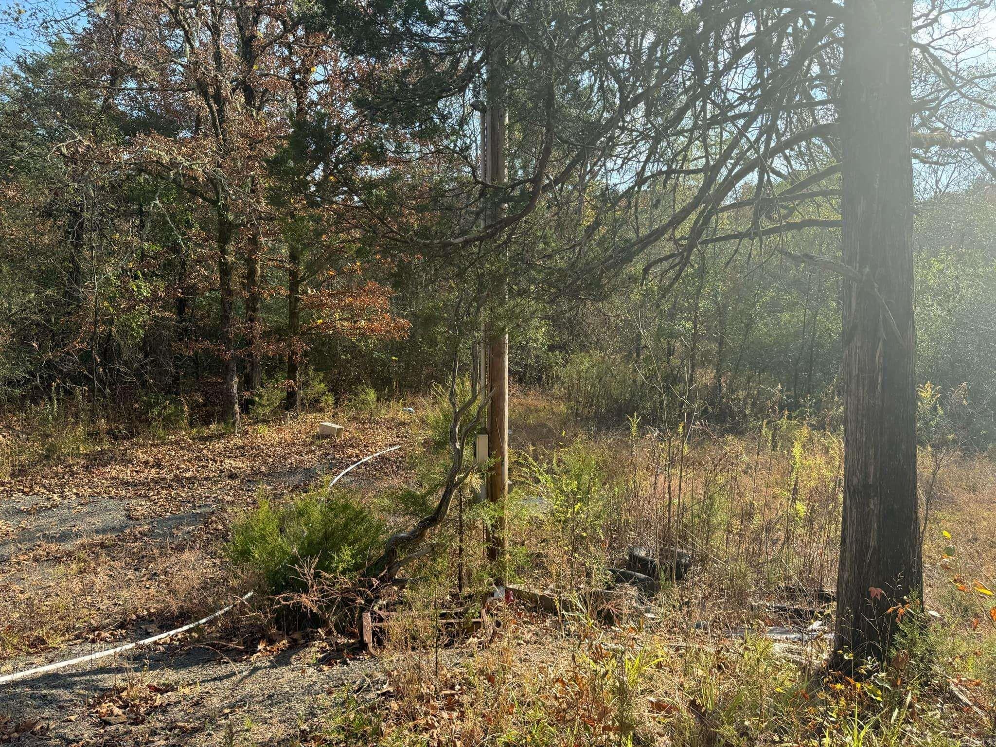 193  Polk Road 147  Mena, AR