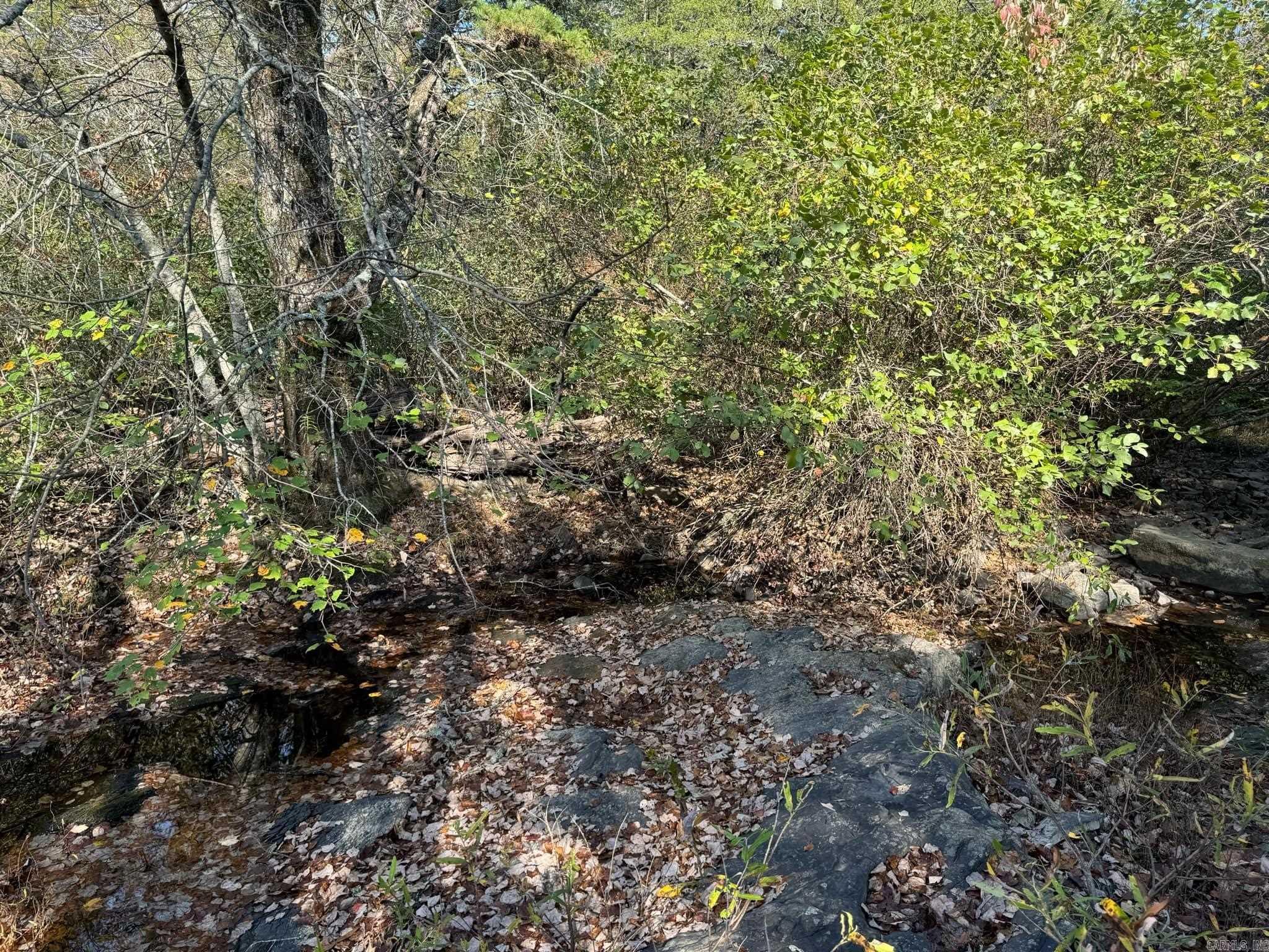 193  Polk Road 147  Mena, AR