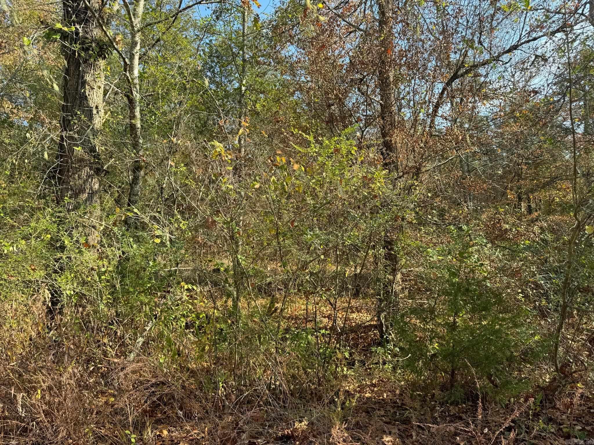193  Polk Road 147  Mena, AR