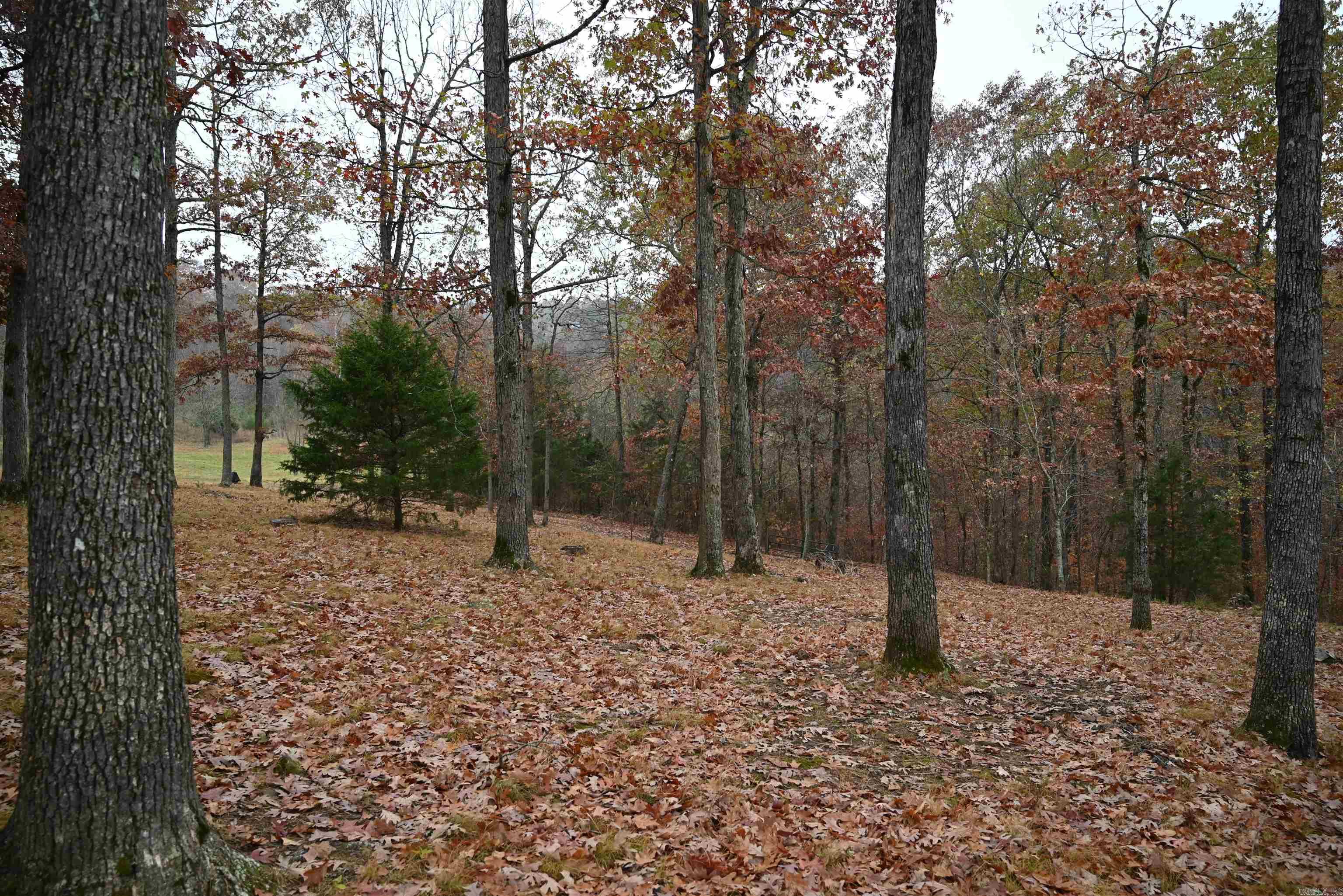 347 NC 6313 Deer, AR 72856