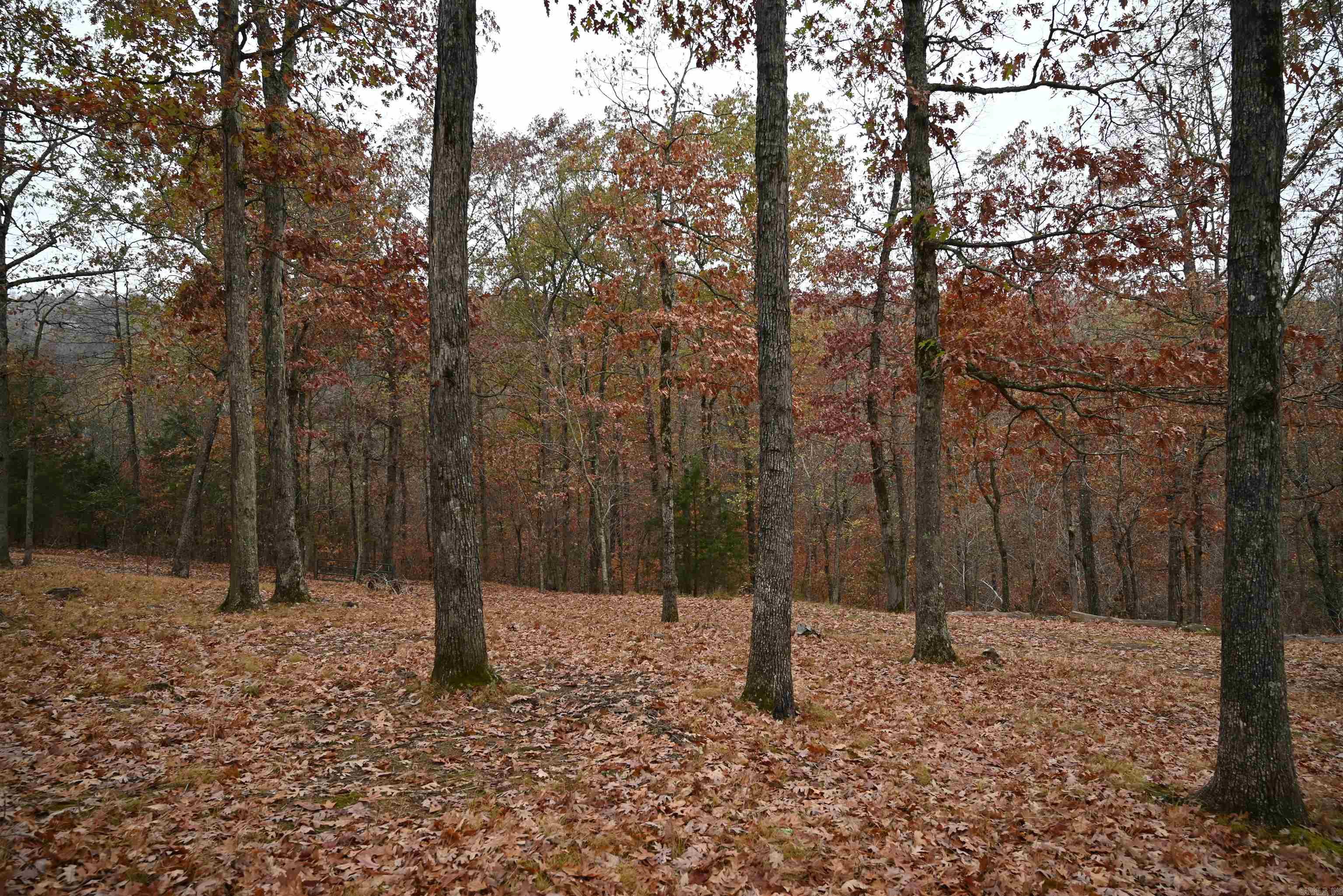 347 NC 6313 Deer, AR 72856